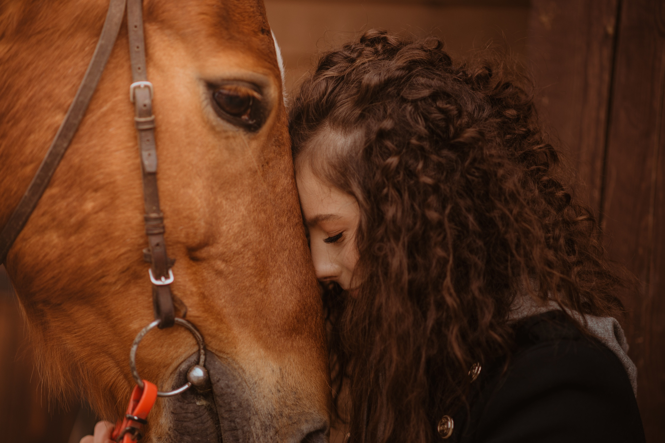 Съемка с животными в Авенсисе