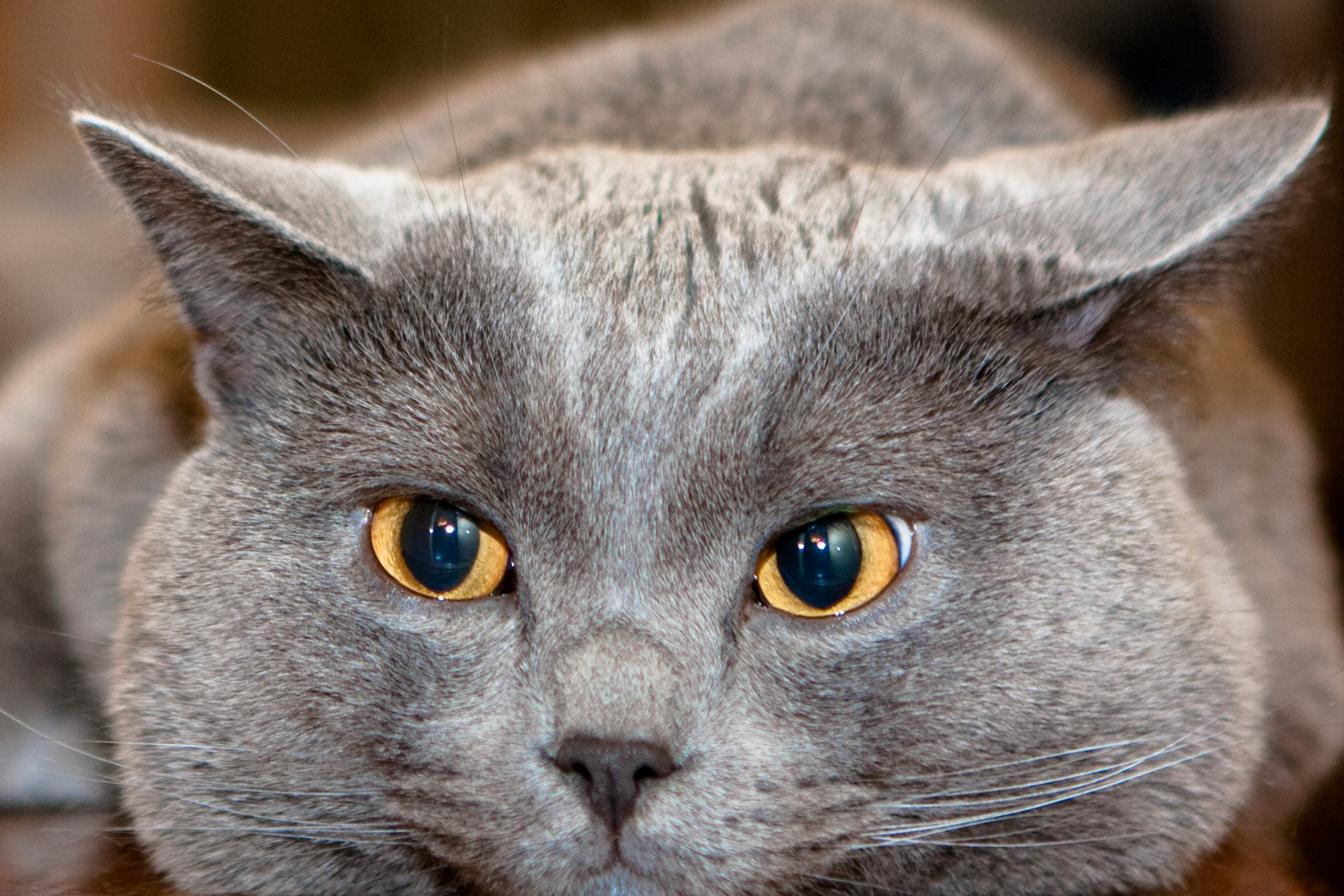 Блог. Кучеров Евгений. Фотограф