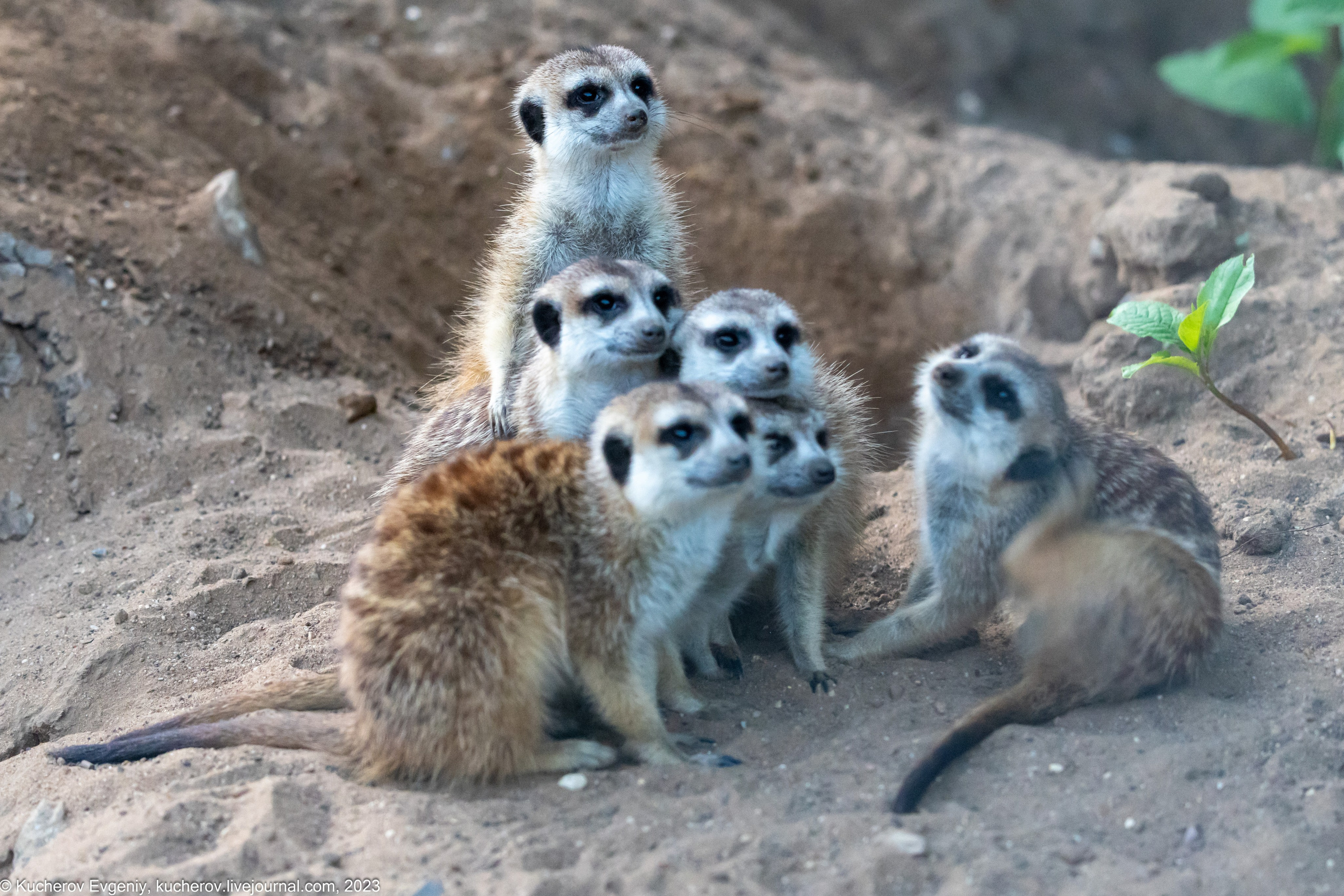 Блог. Кучеров Евгений. Фотограф