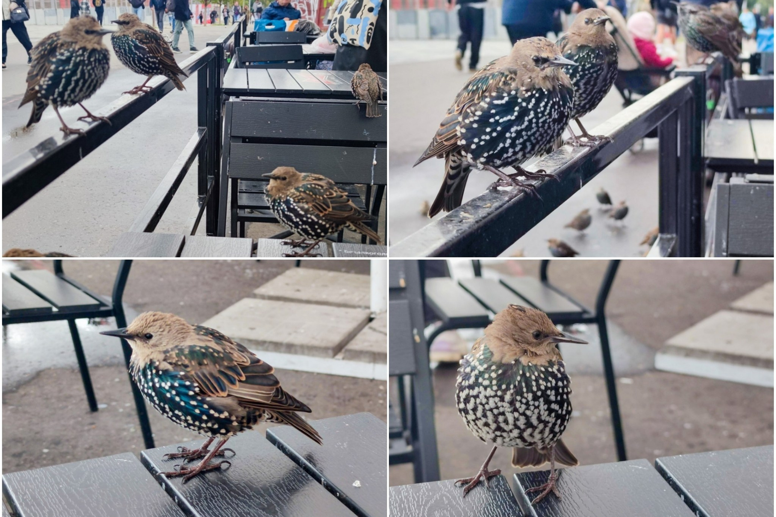 Блог. Кучеров Евгений. Фотограф