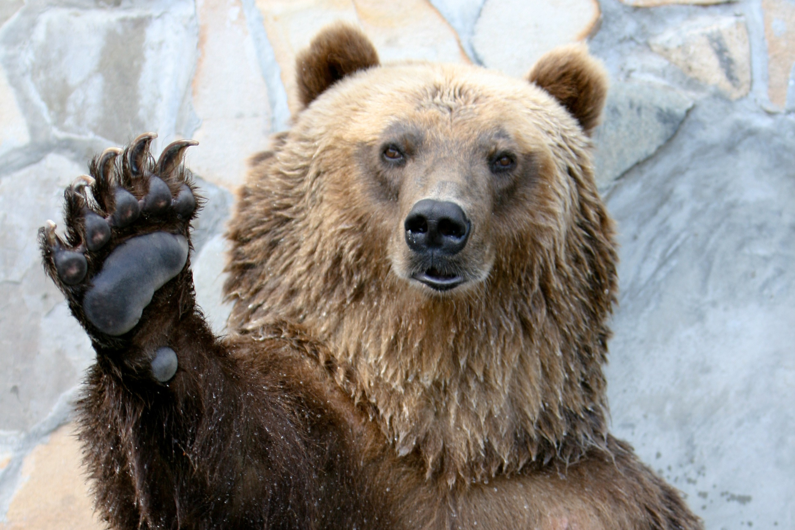 Блог. Кучеров Евгений. Фотограф
