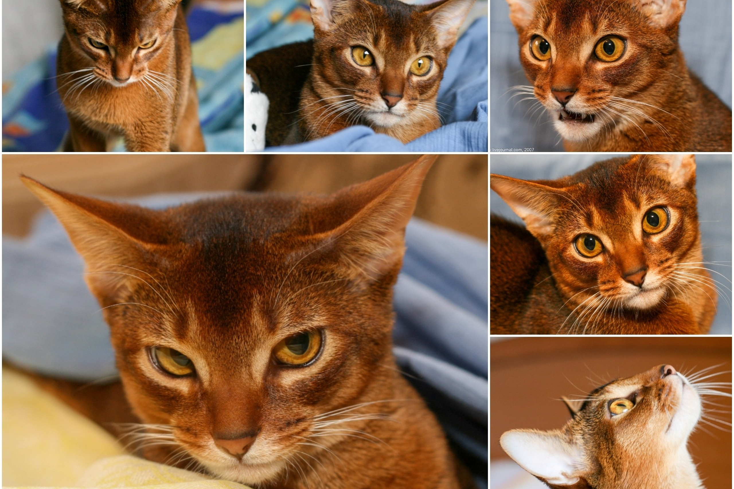 Блог. Кучеров Евгений. Фотограф