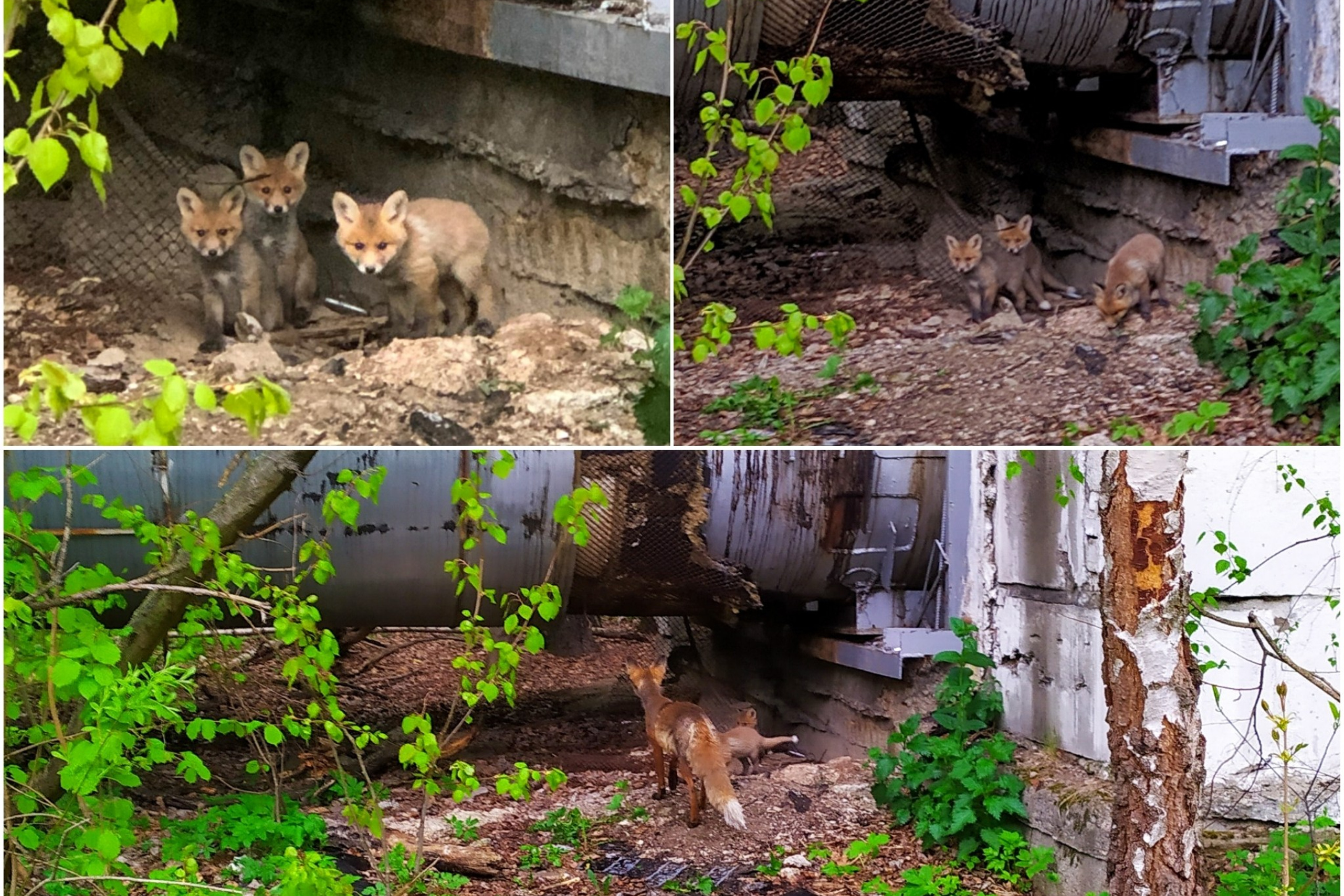 Блог. Кучеров Евгений. Фотограф