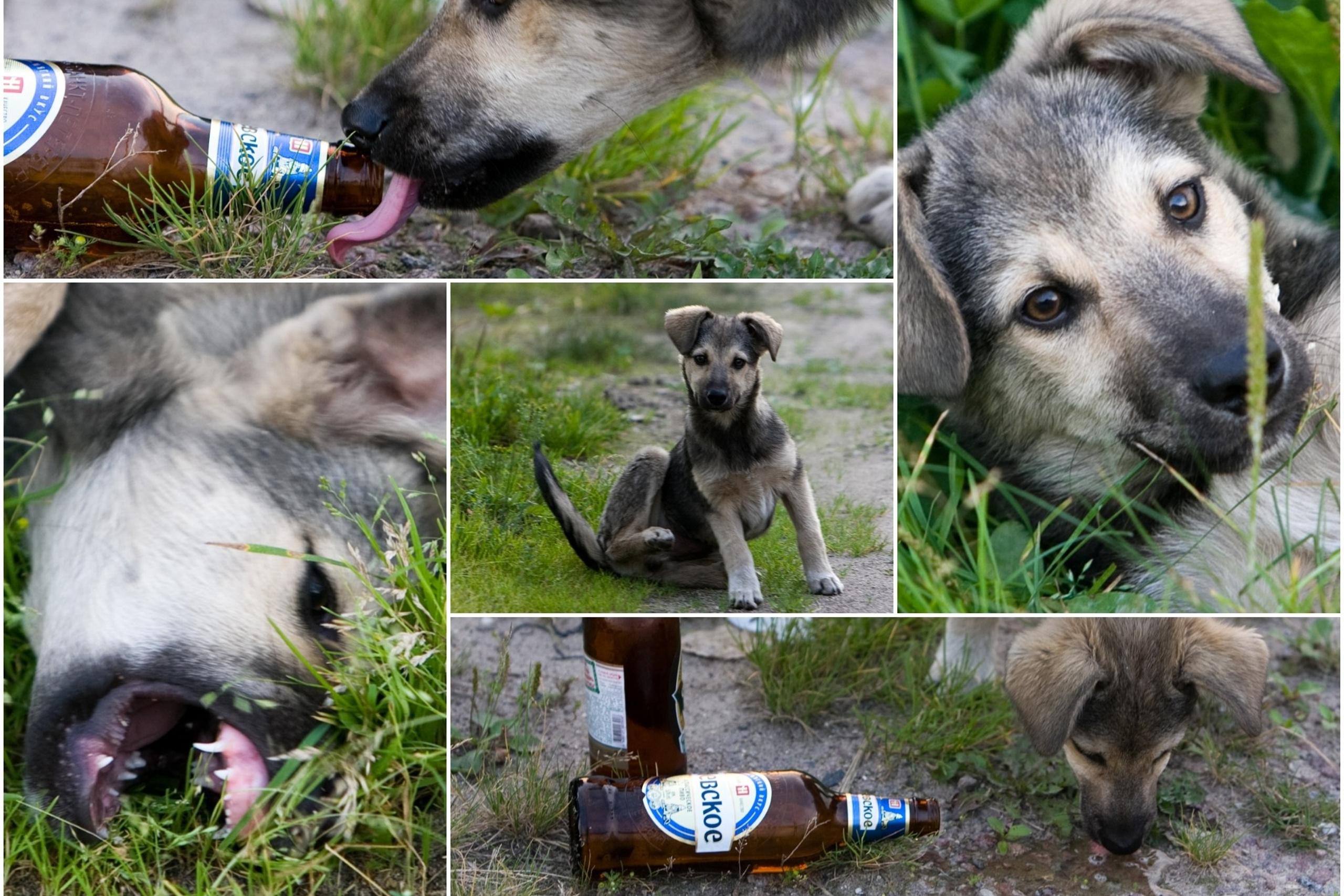 Блог. Кучеров Евгений. Фотограф