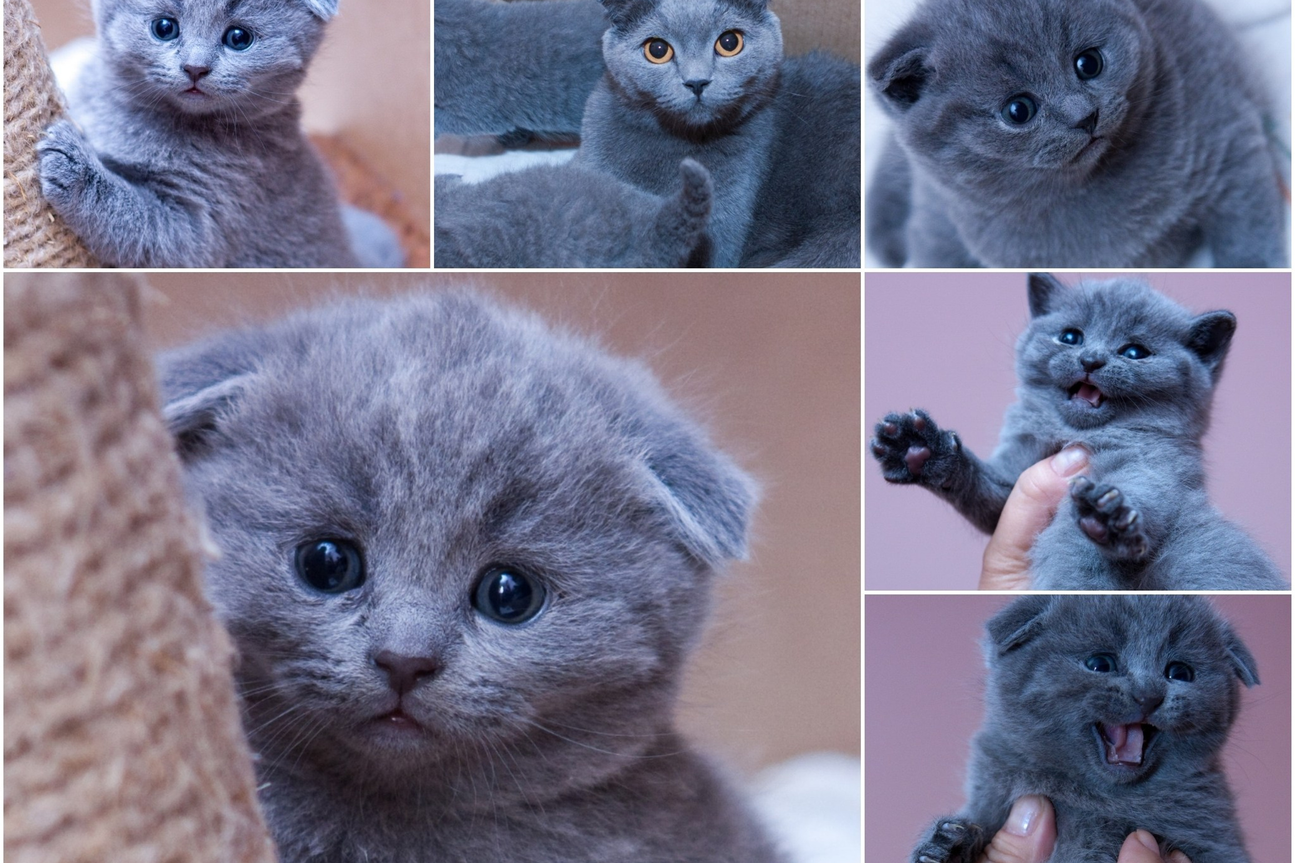 Блог. Кучеров Евгений. Фотограф