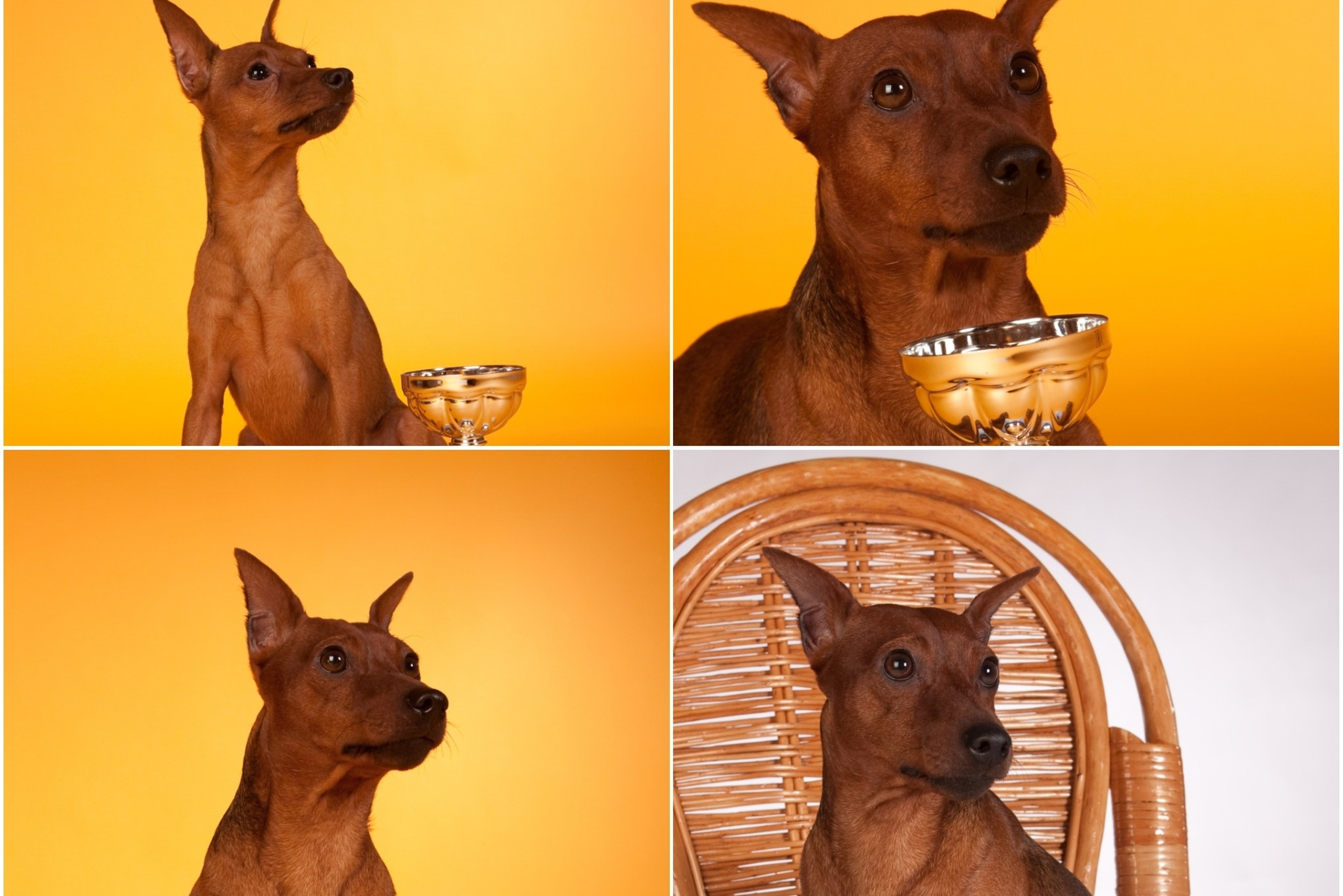 Блог. Кучеров Евгений. Фотограф