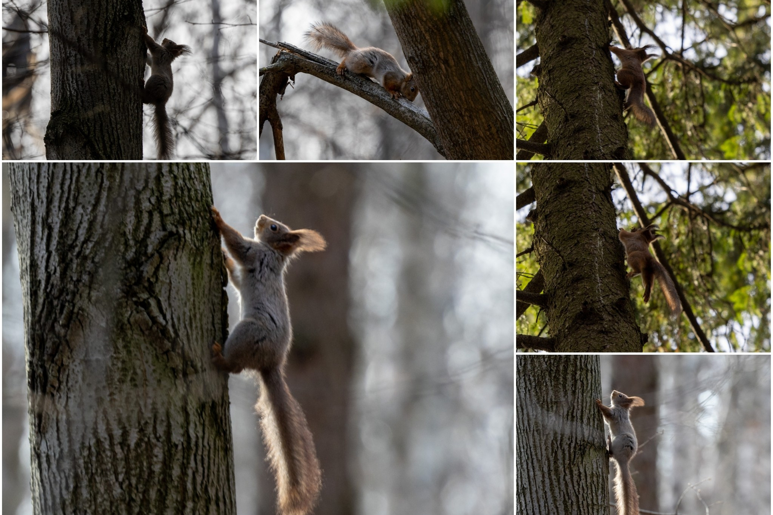 Блог. Кучеров Евгений. Фотограф