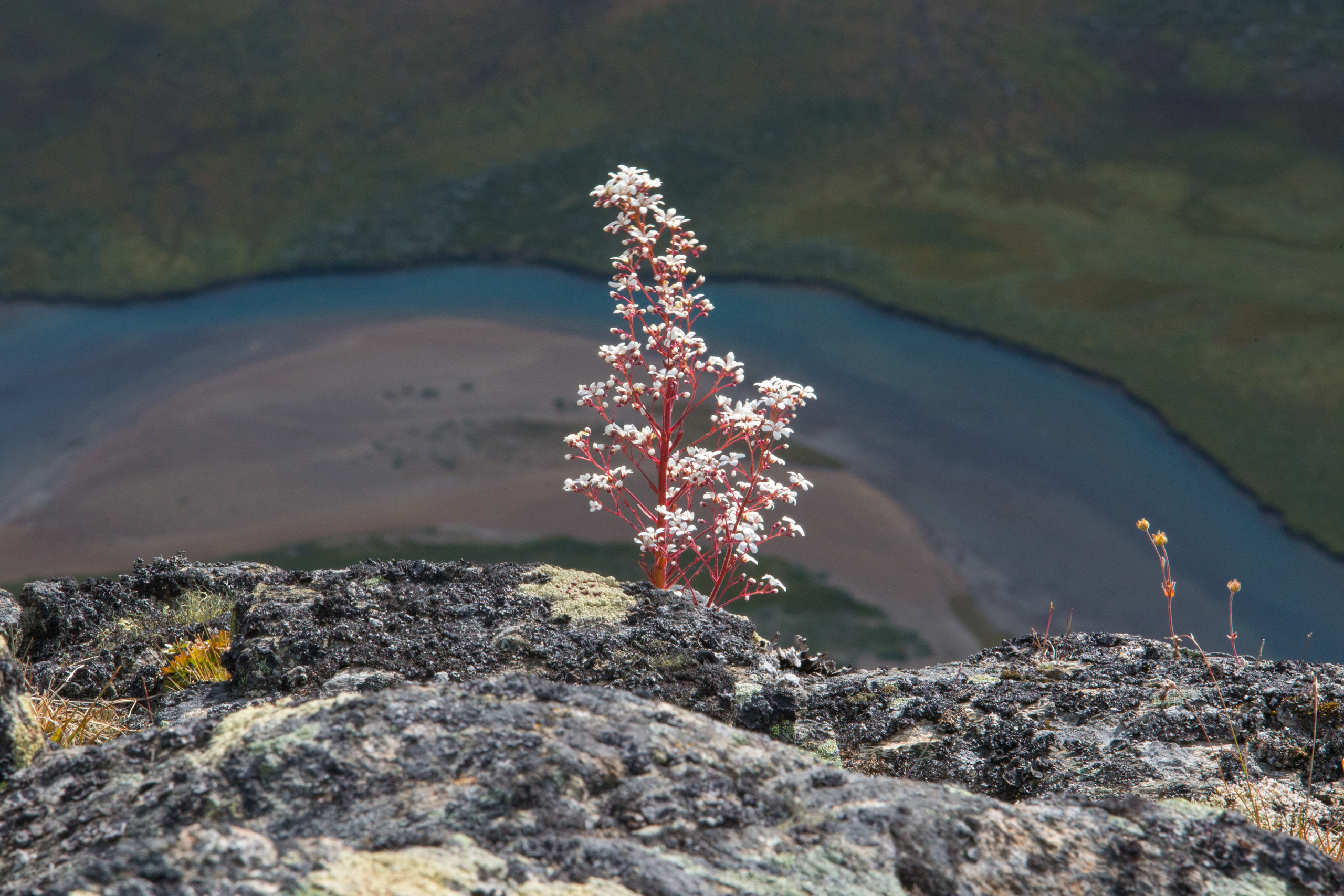 Новый кампус Яндекса. Фотографии Тиграна Худавердяна