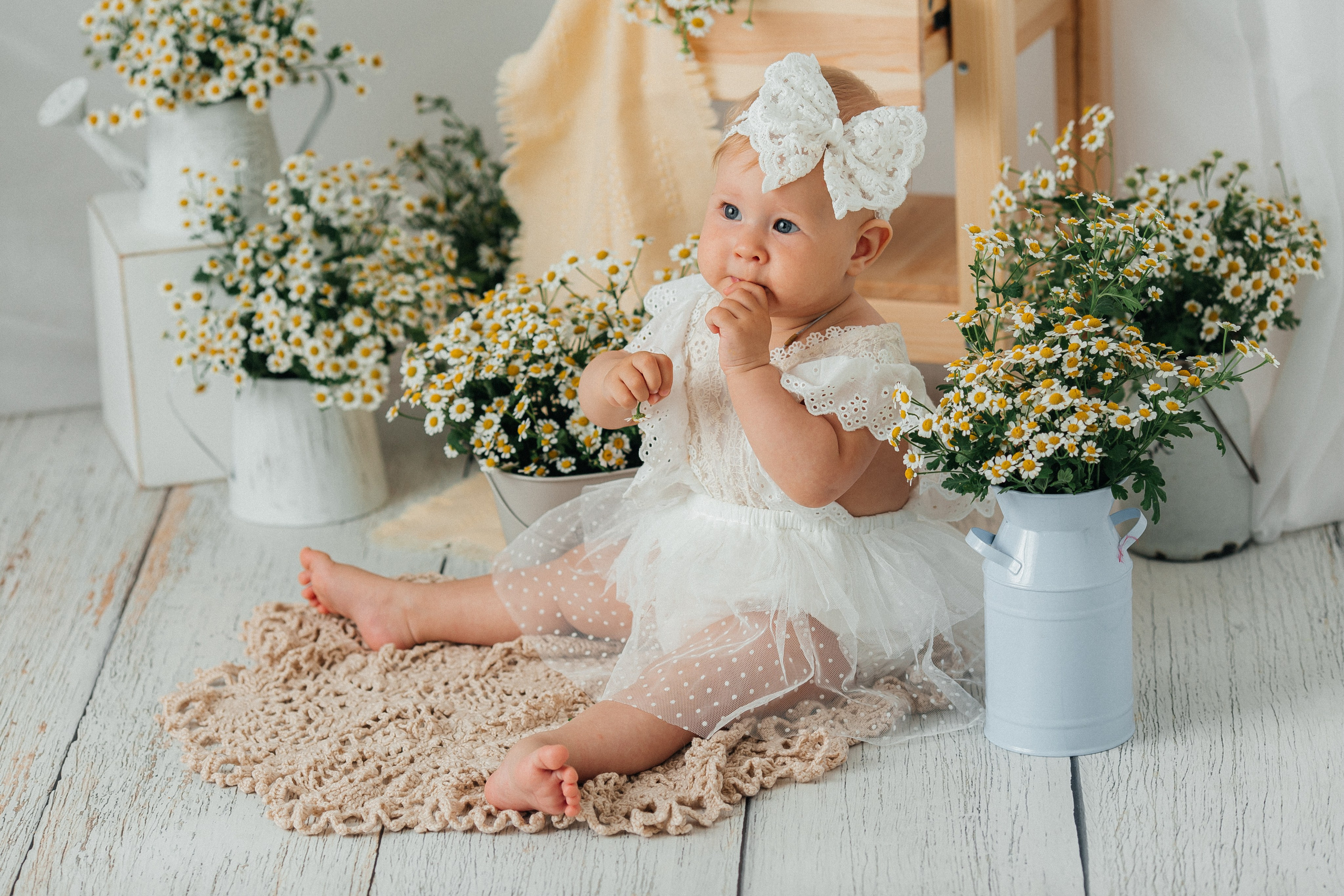 С ромашкой (сезонная)