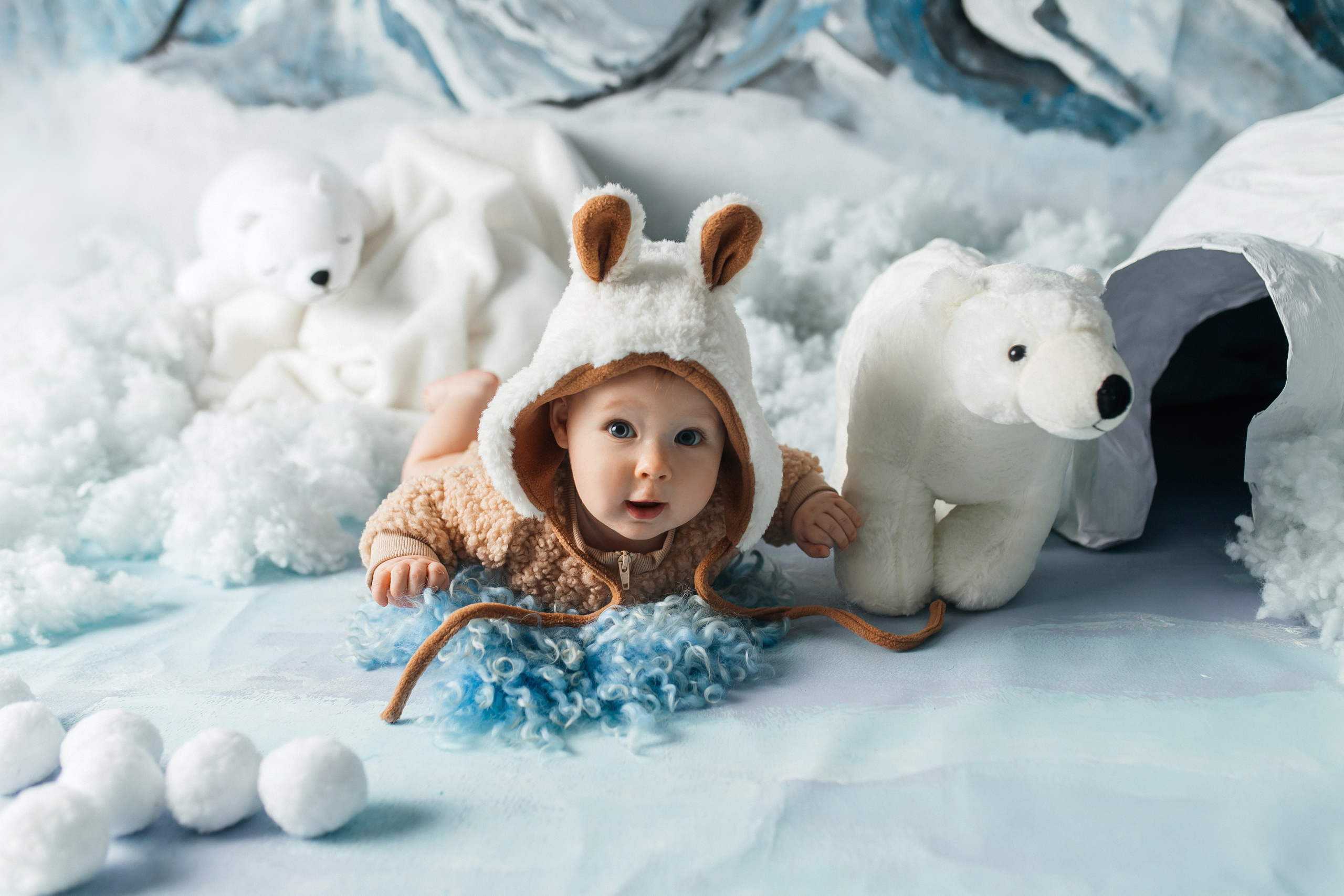 Мишки на севере