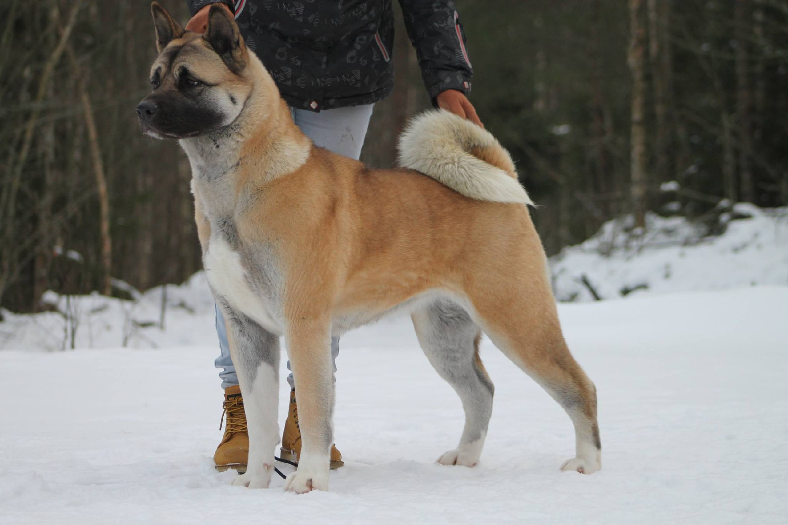 Финя * INFINIT HAPPY