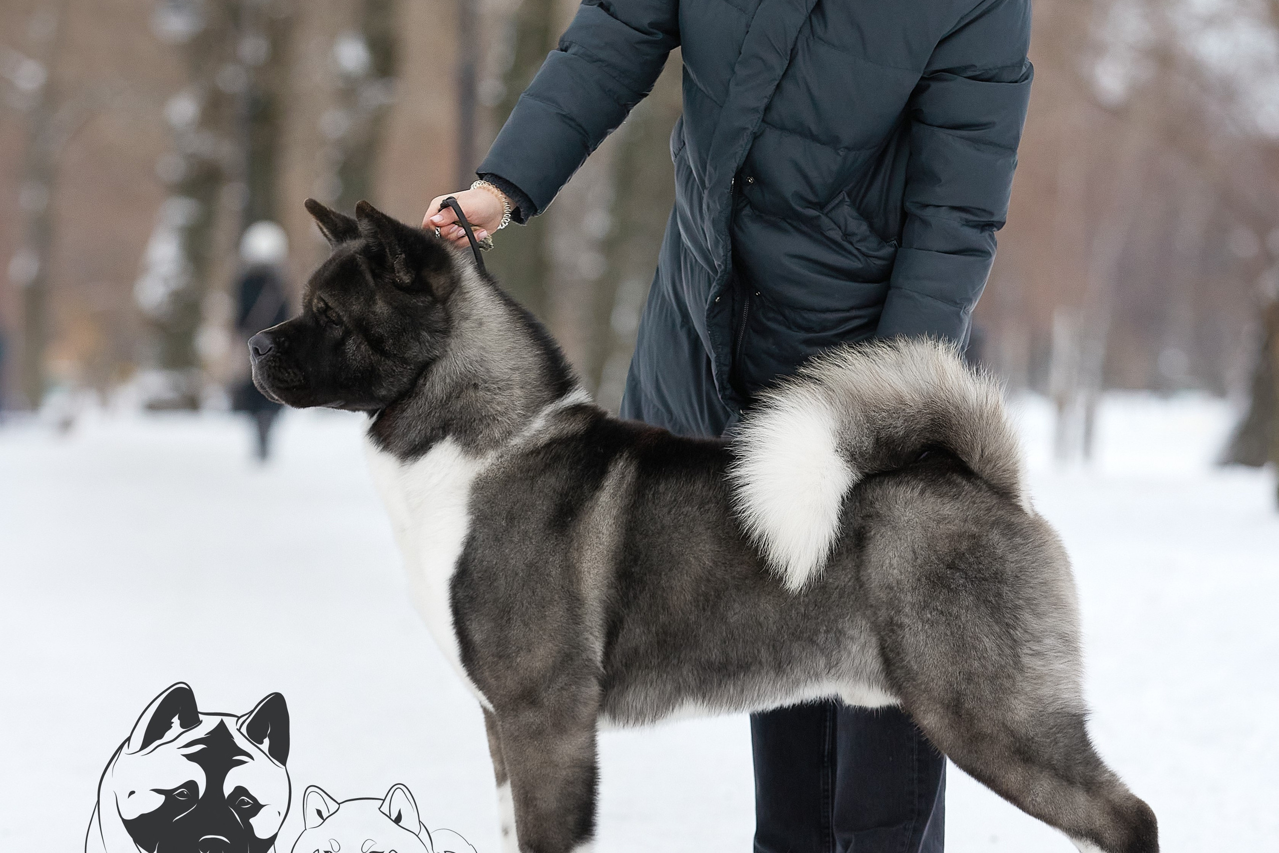 МЭР * Alter Real Merkury