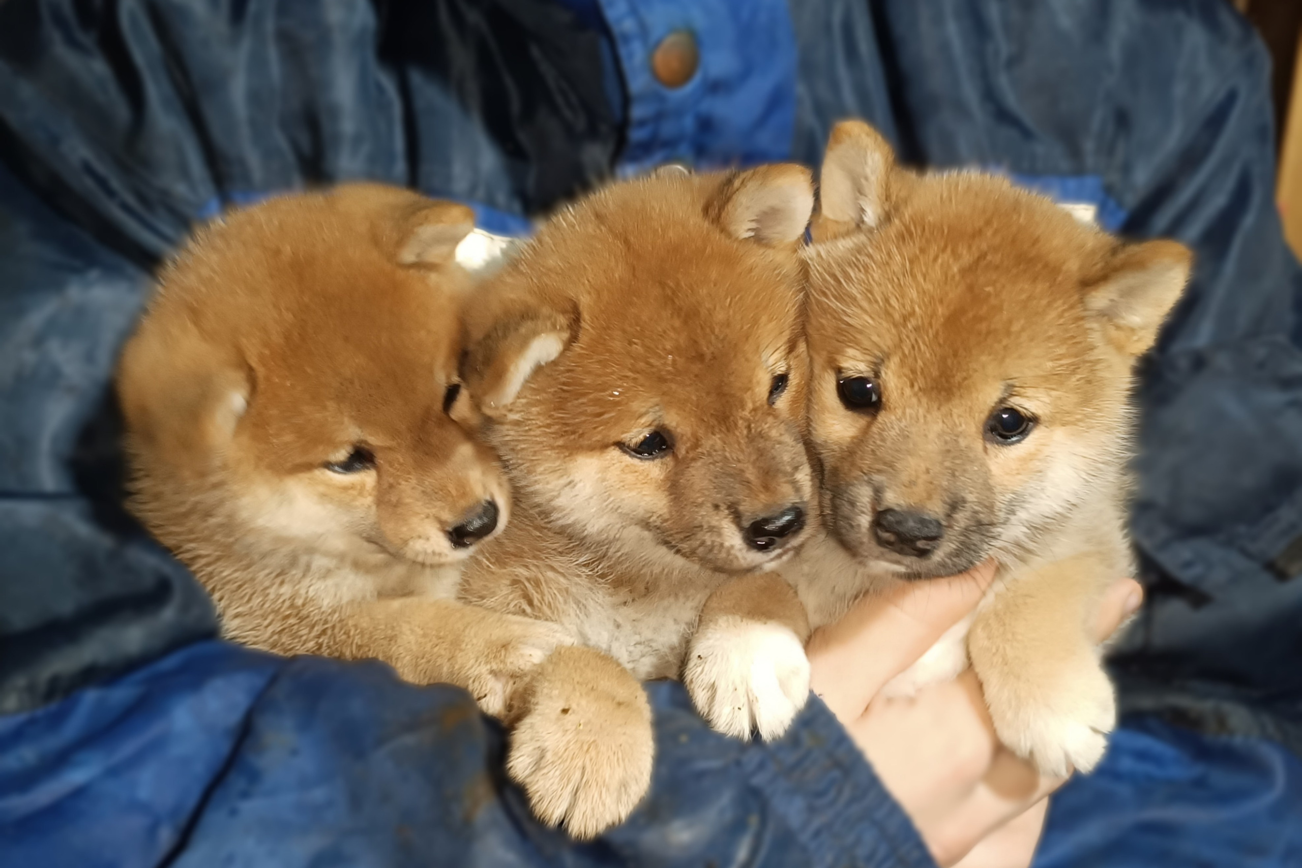 Помет N от 01.10.2025