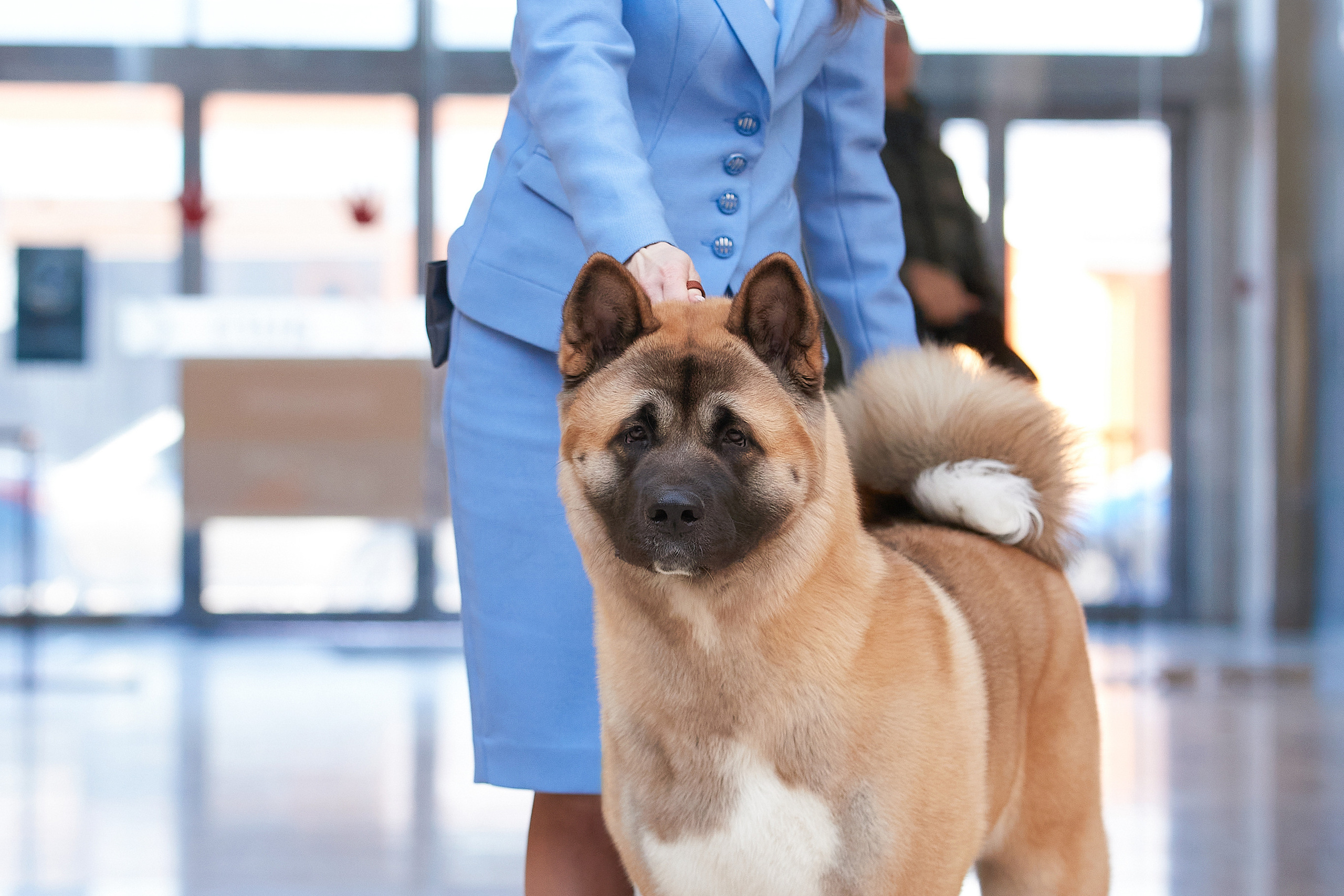 RUBYLIGHT Kabuto yakushi