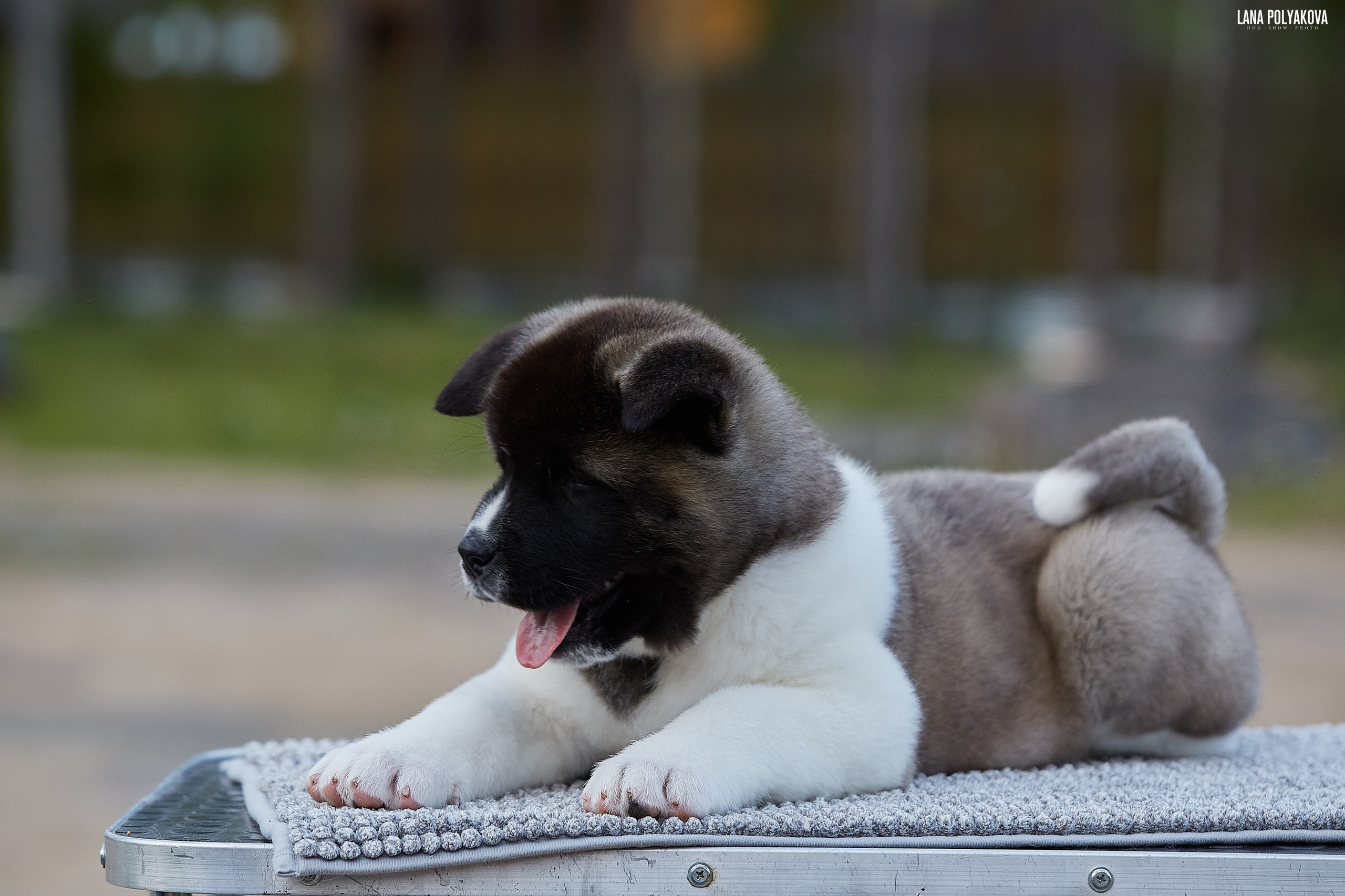 RUBYLIGHT Cyclone of luck * Циклон