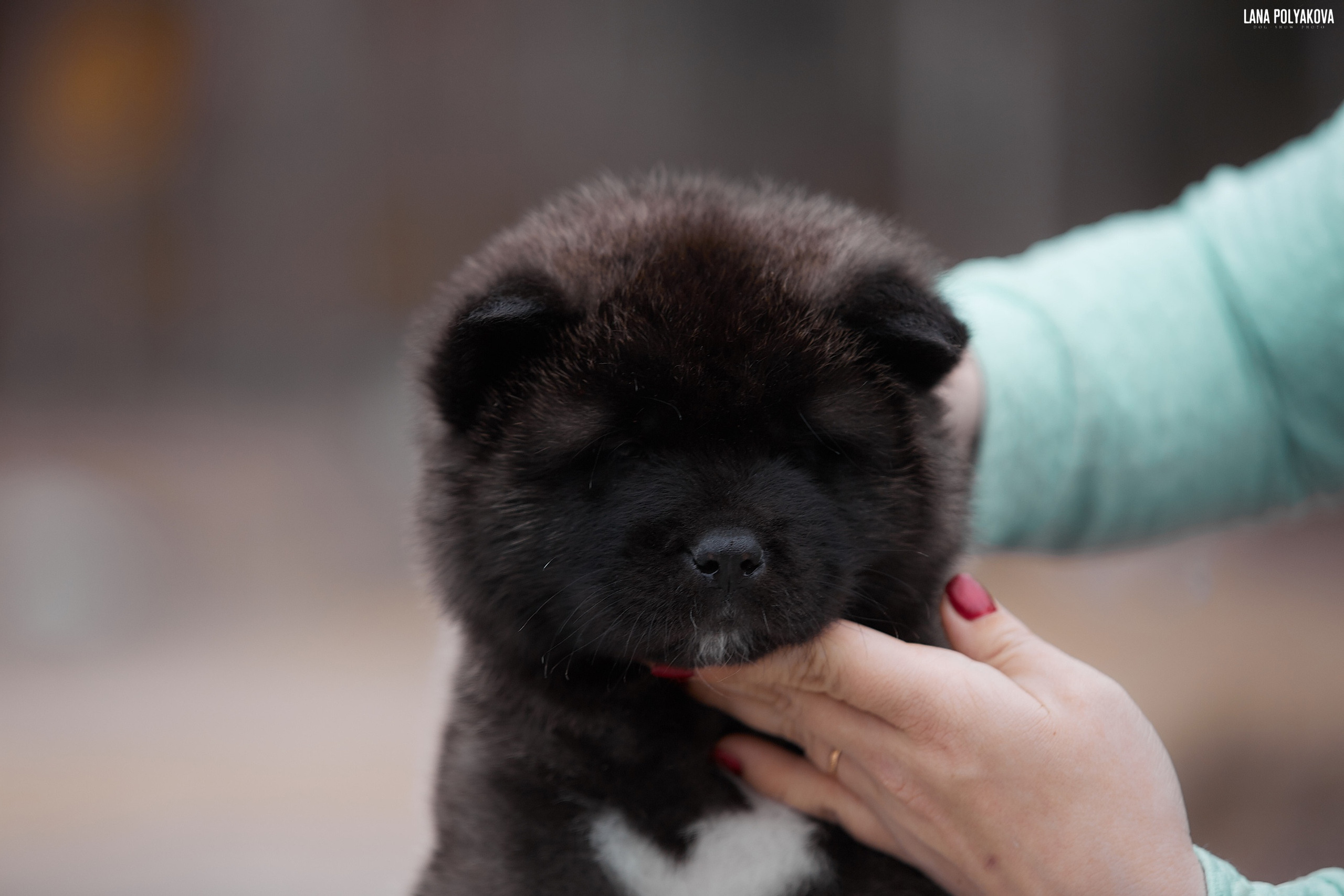 RUBYLIGHT Citron * Шейх