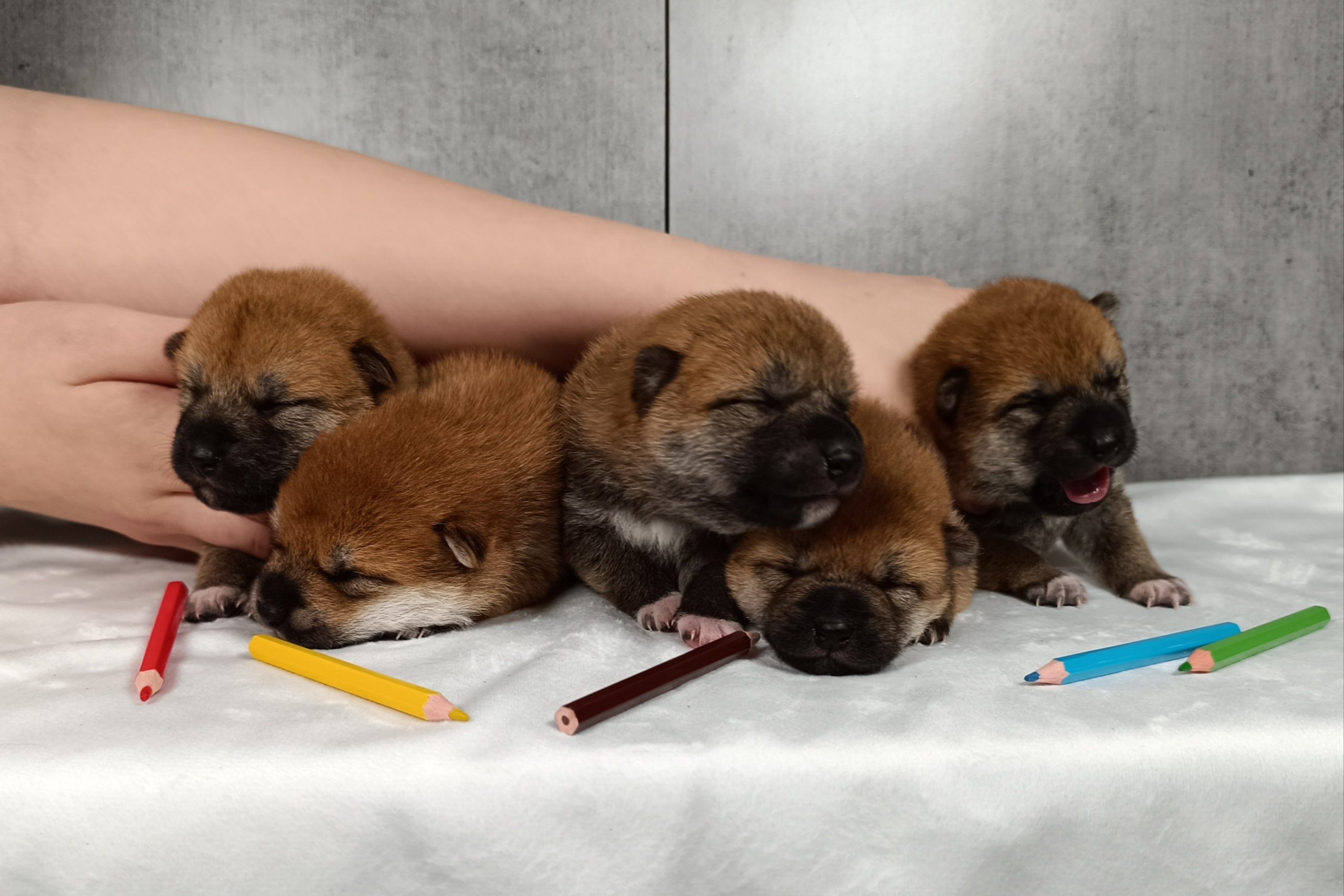 Помет j общее