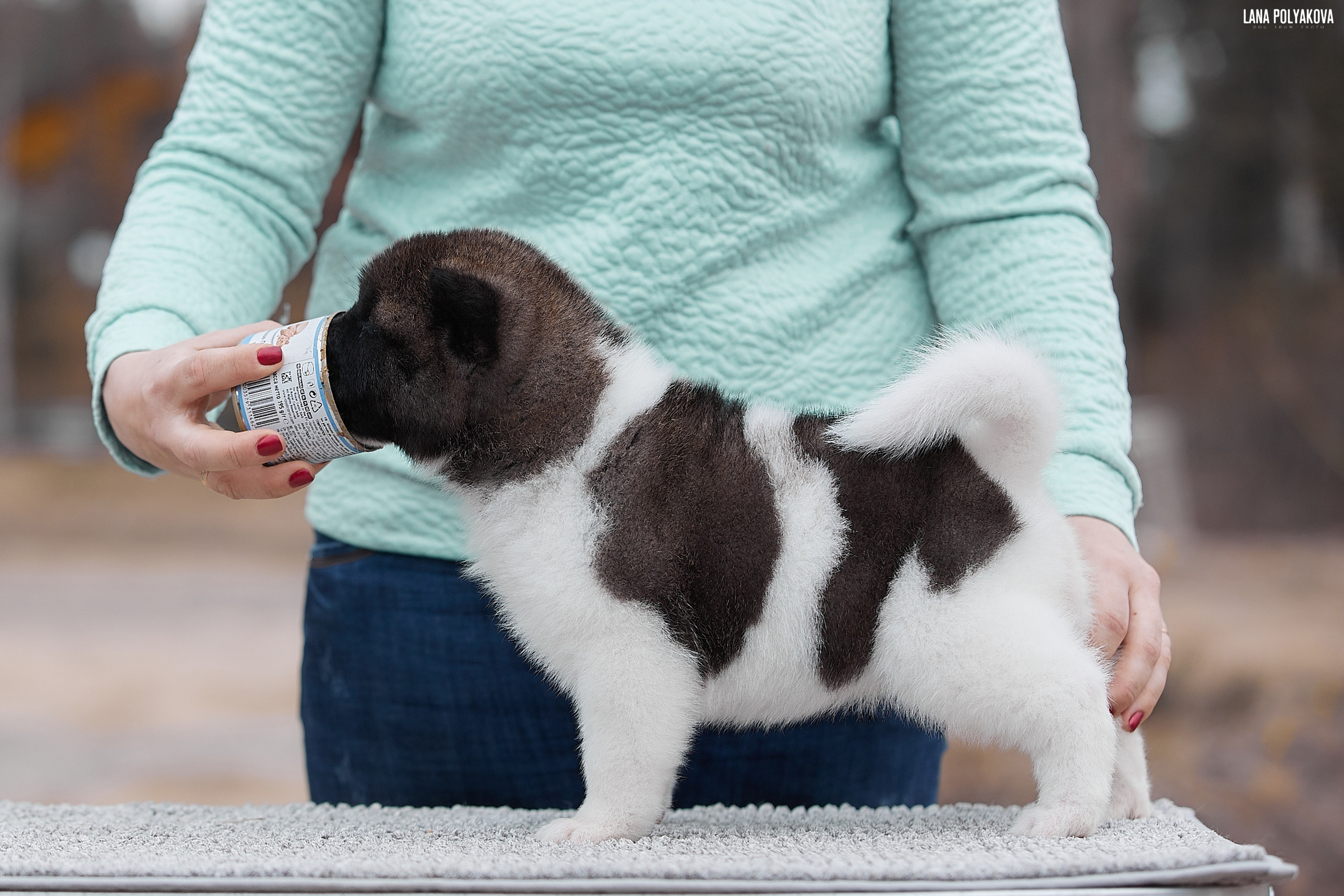 RUBYLIGHT Cinnamon * Кора