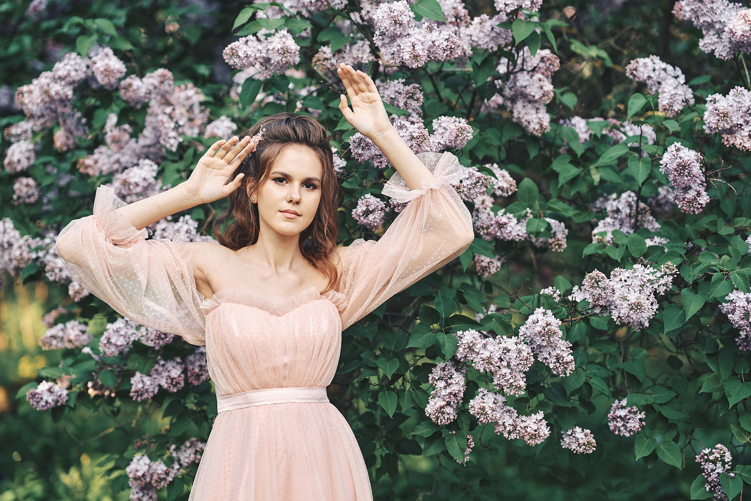 Сиреневый сад