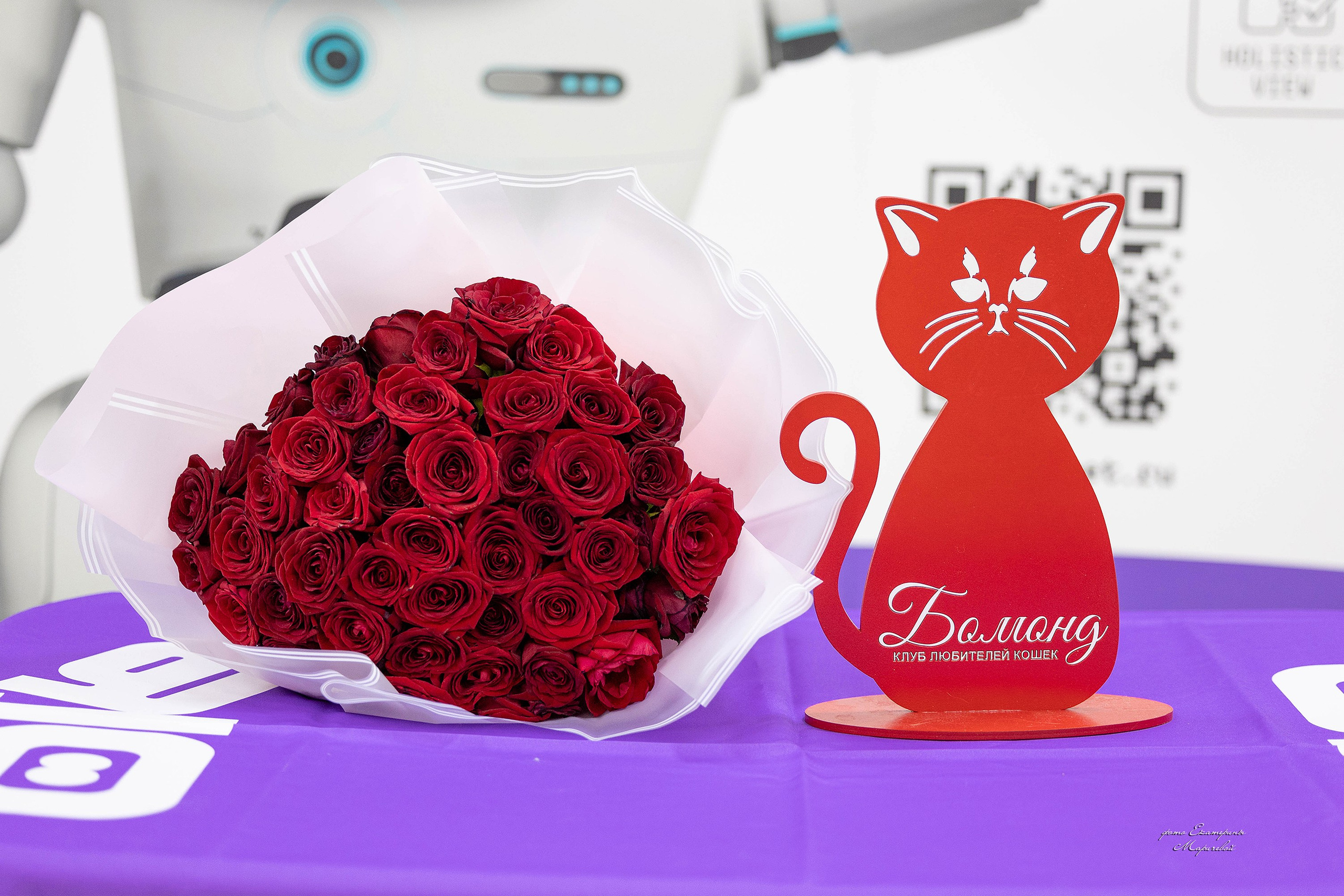 Анонсы выставок. Фотограф-анималист в Омске Екатерина Маричева