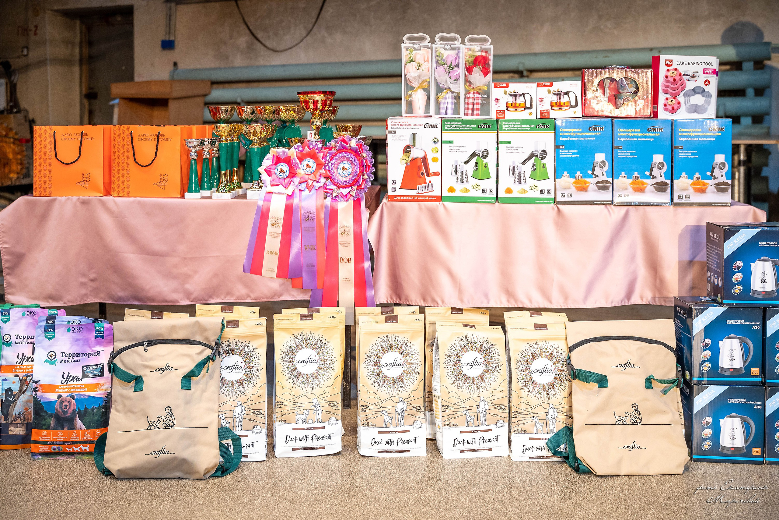 22.03.2026 Национальная выставка собак клуб «Олимп». Фотограф-анималист в Омске Екатерина Маричева