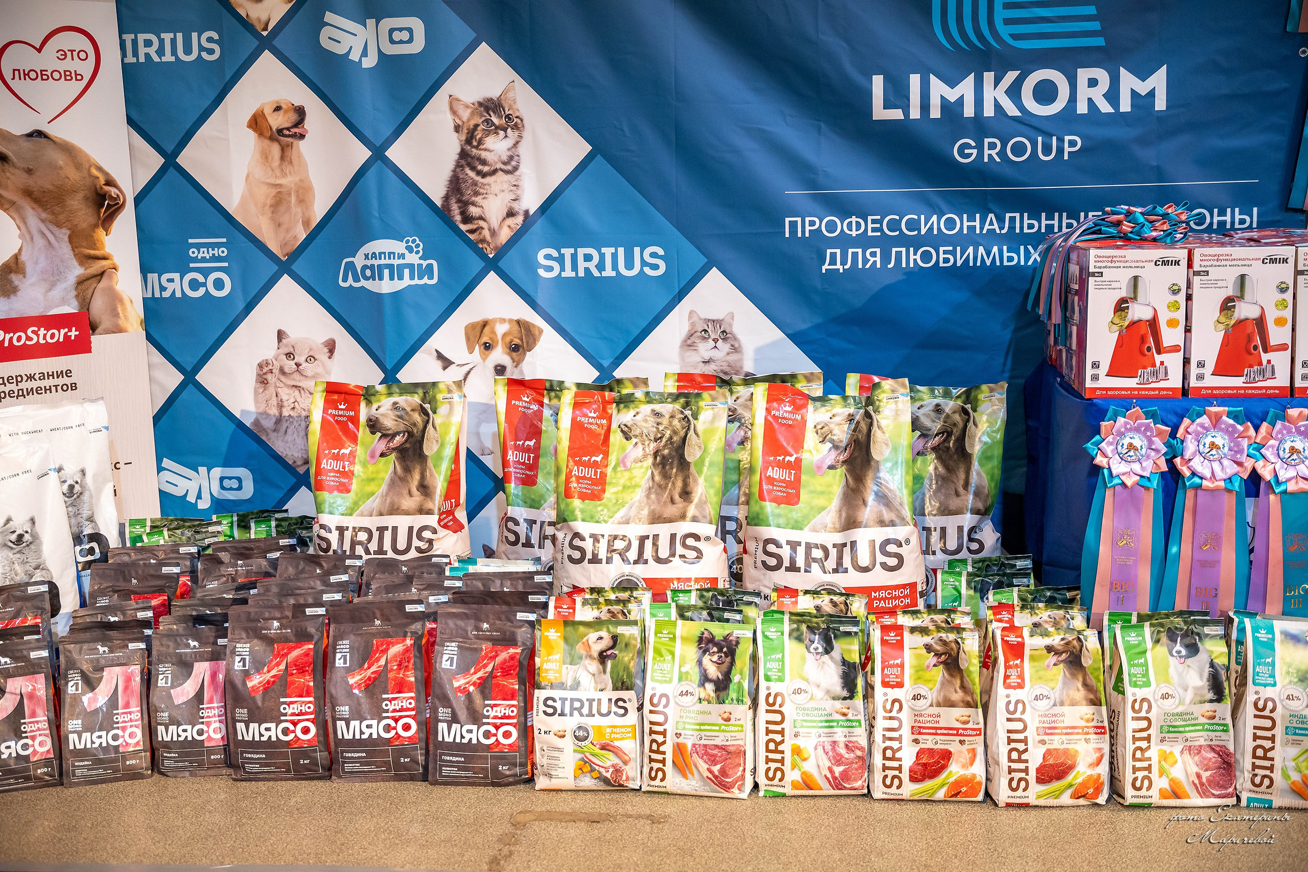 22.03.2026 Национальная выставка собак клуб «Олимп». Фотограф-анималист в Омске Екатерина Маричева