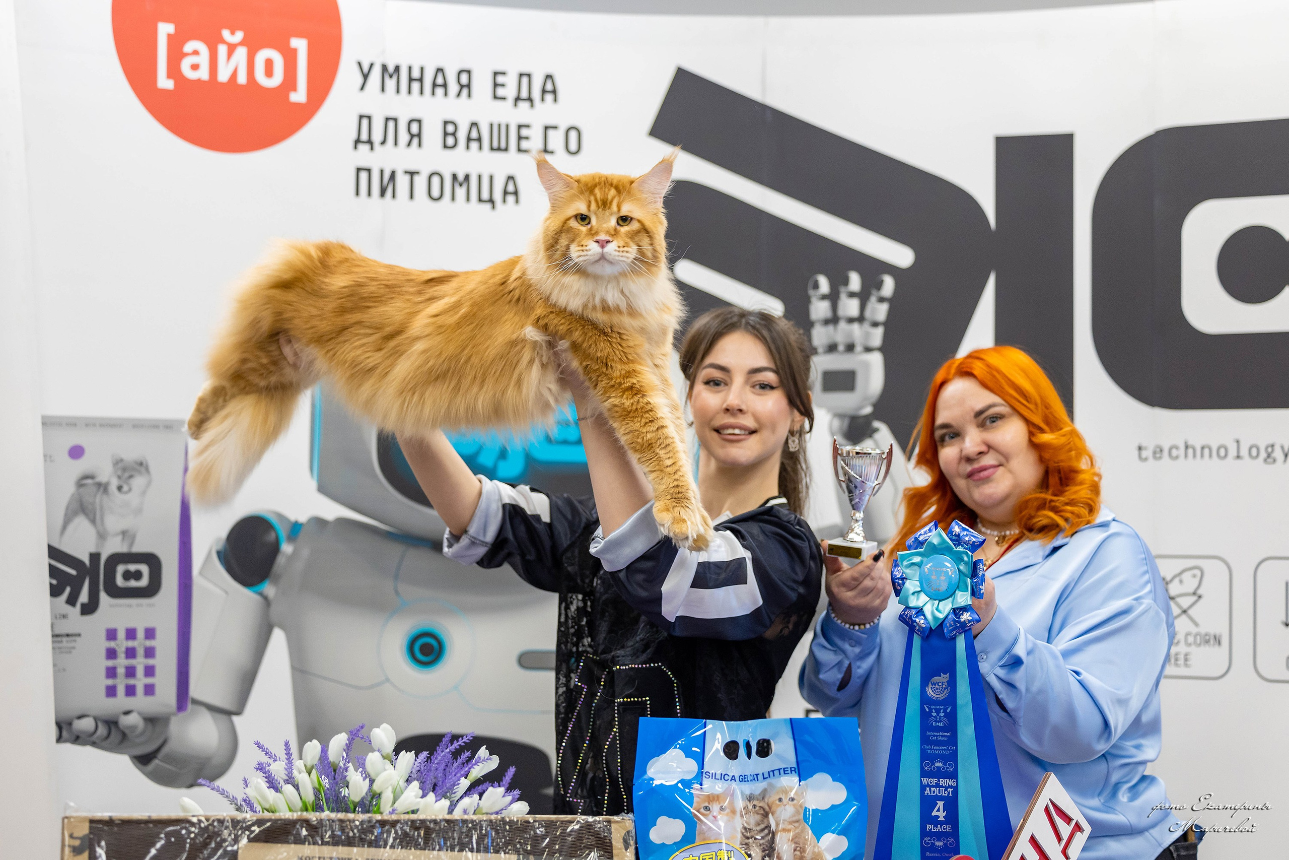 7–8 февраля КЛК «Бомонд». Место проведения: г. Омск ТЦ «Каскад». Фотограф-анималист в Омске Екатерина Маричева