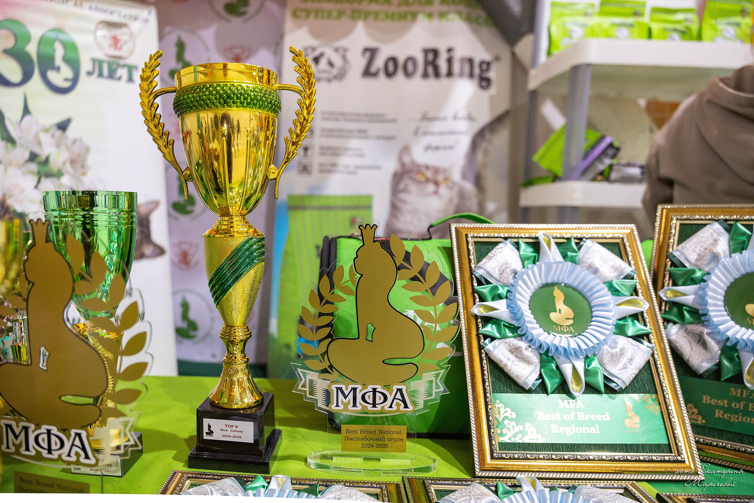 Выставка собак организатор Омский клуб служебного собаководства. Работаю со стендом. Фотограф-анималист в Омске Екатерина Маричева