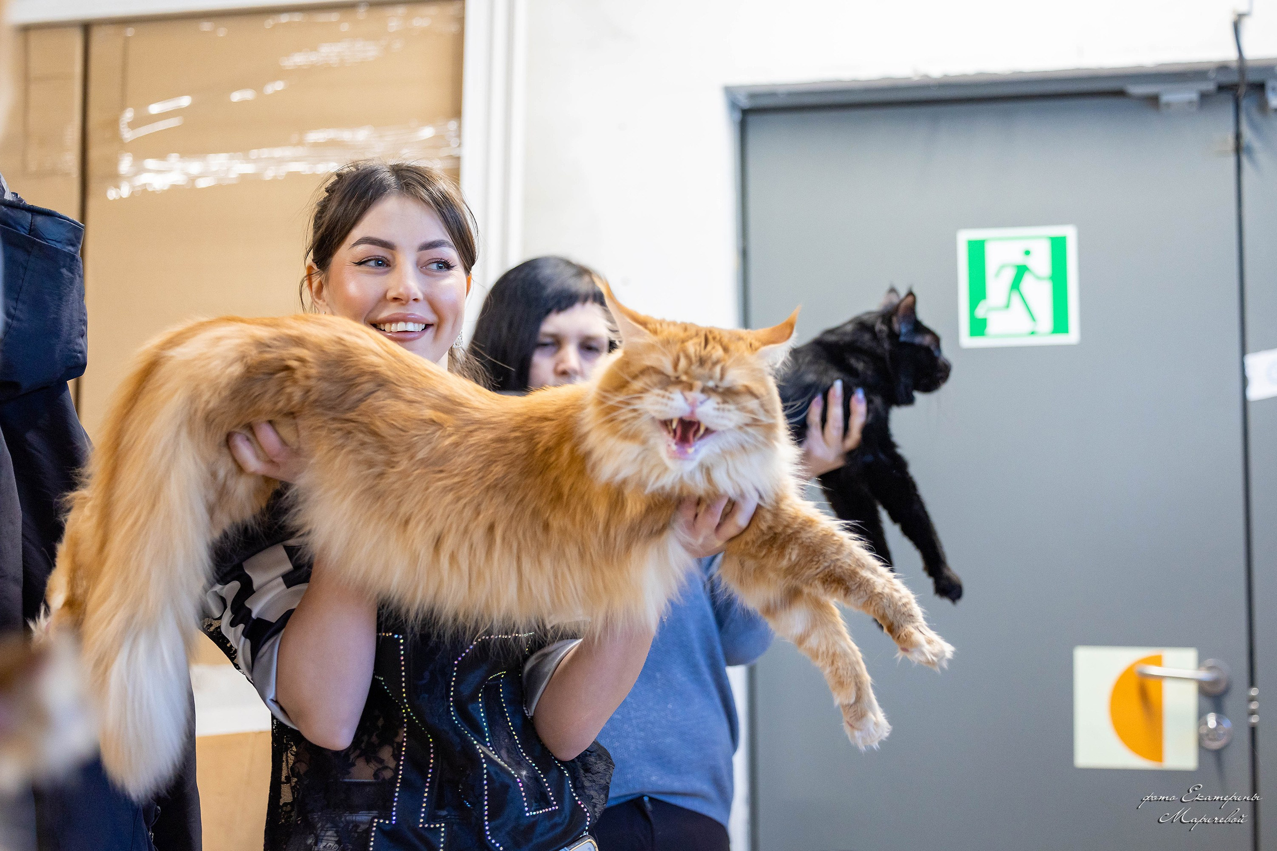 7–8 февраля КЛК «Бомонд». Место проведения: г. Омск ТЦ «Каскад». Фотограф-анималист в Омске Екатерина Маричева