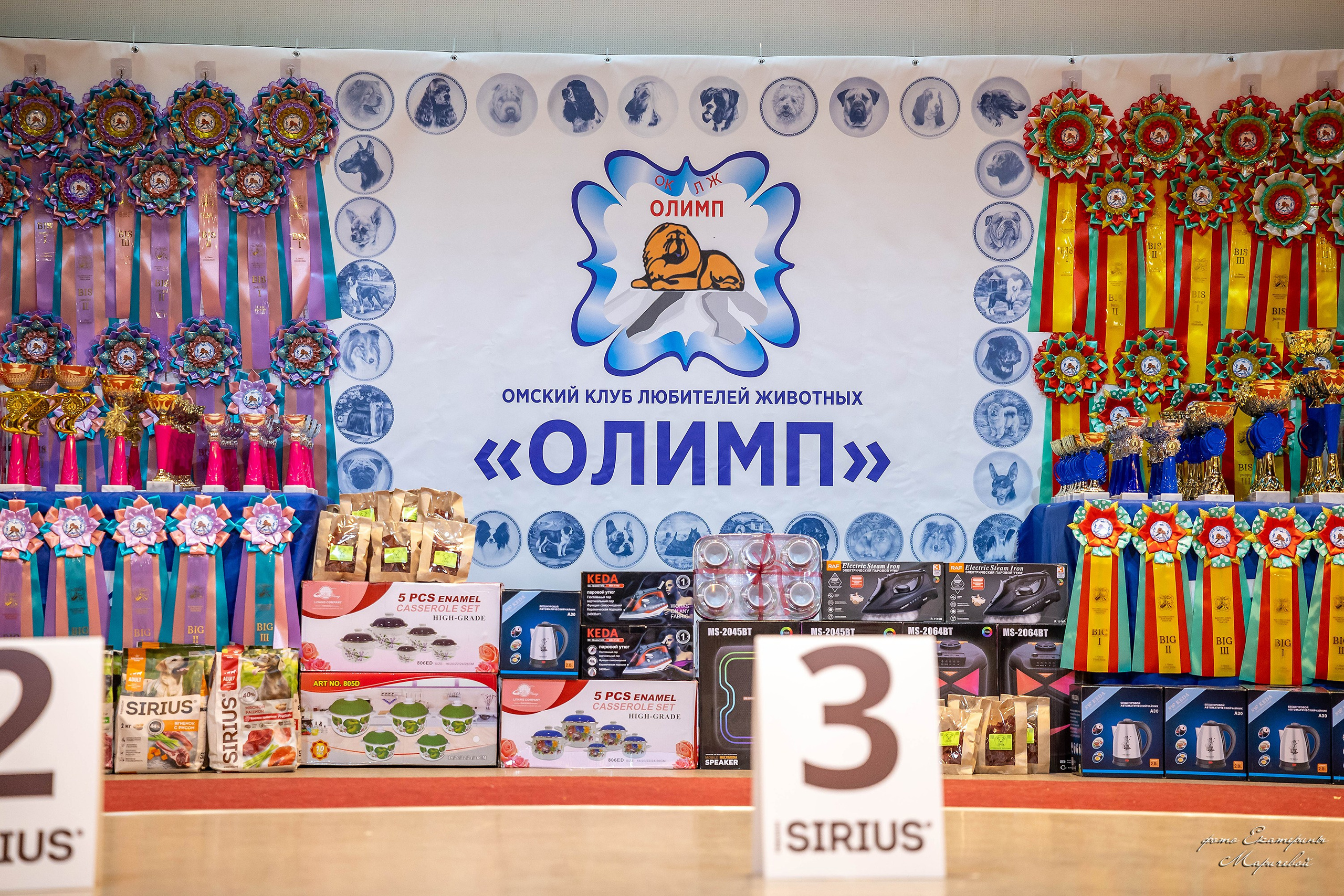 22.03.2026 Национальная выставка собак клуб «Олимп». Фотограф-анималист в Омске Екатерина Маричева