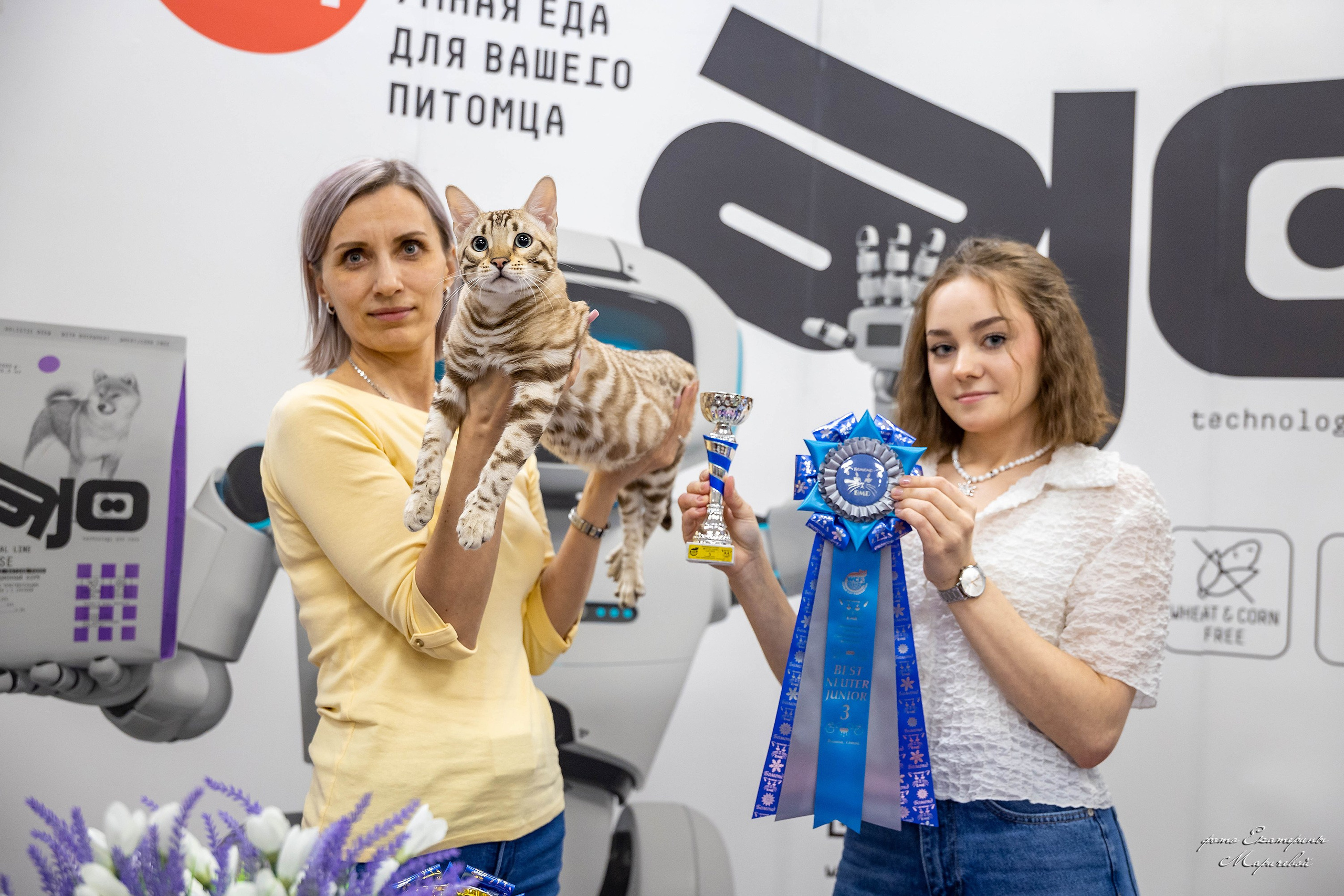 7–8 февраля КЛК «Бомонд». Место проведения: г. Омск ТЦ «Каскад». Фотограф-анималист в Омске Екатерина Маричева