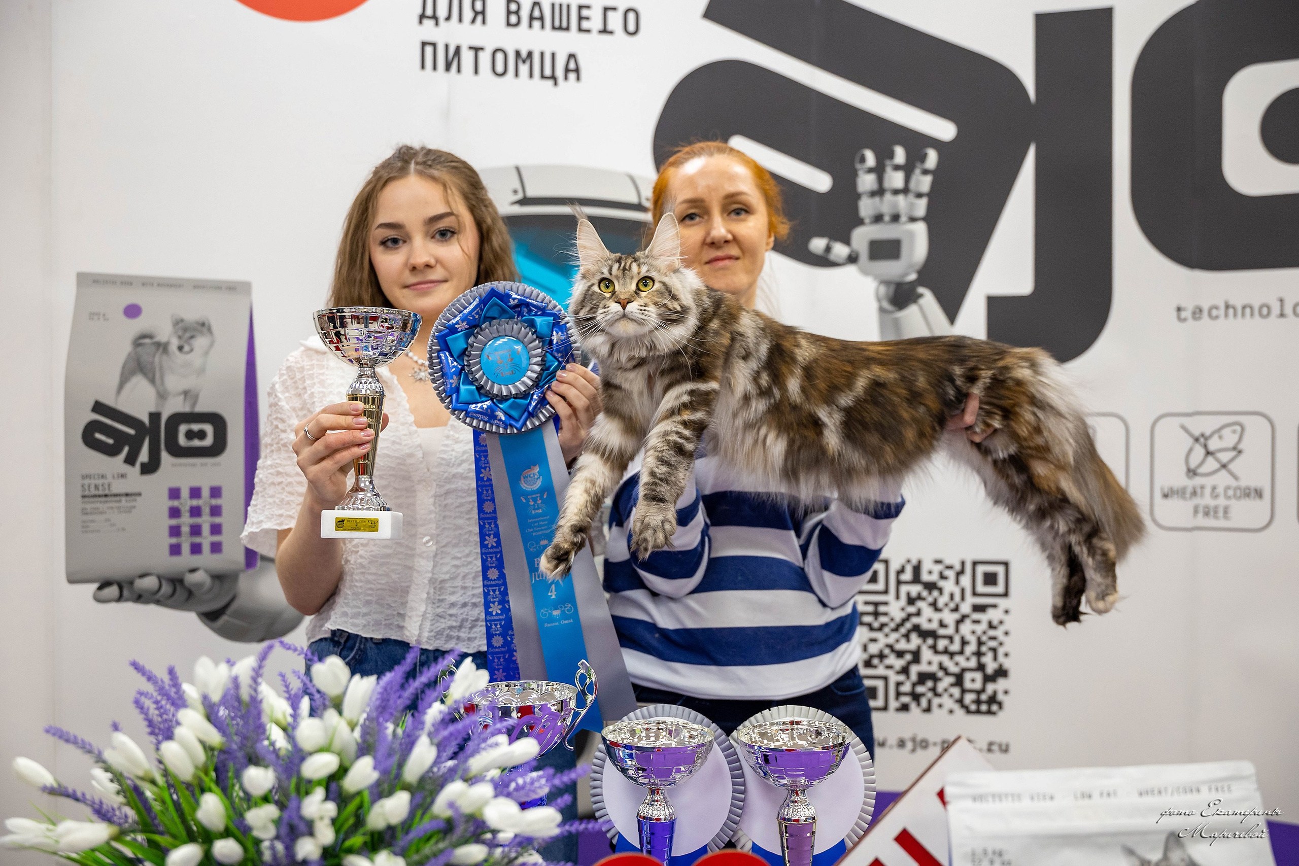 7–8 февраля КЛК «Бомонд». Место проведения: г. Омск ТЦ «Каскад». Фотограф-анималист в Омске Екатерина Маричева