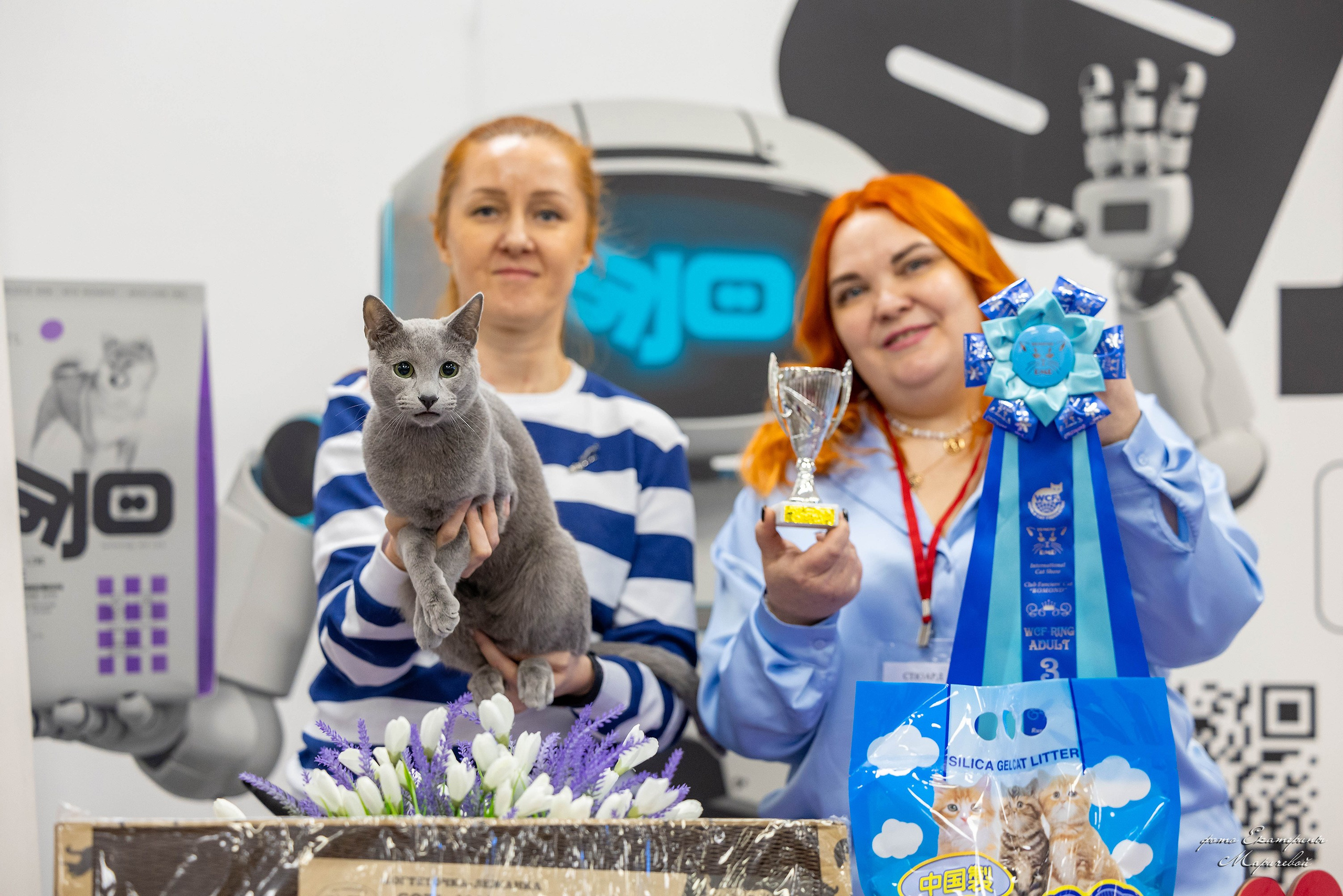 7–8 февраля КЛК «Бомонд». Место проведения: г. Омск ТЦ «Каскад». Фотограф-анималист в Омске Екатерина Маричева