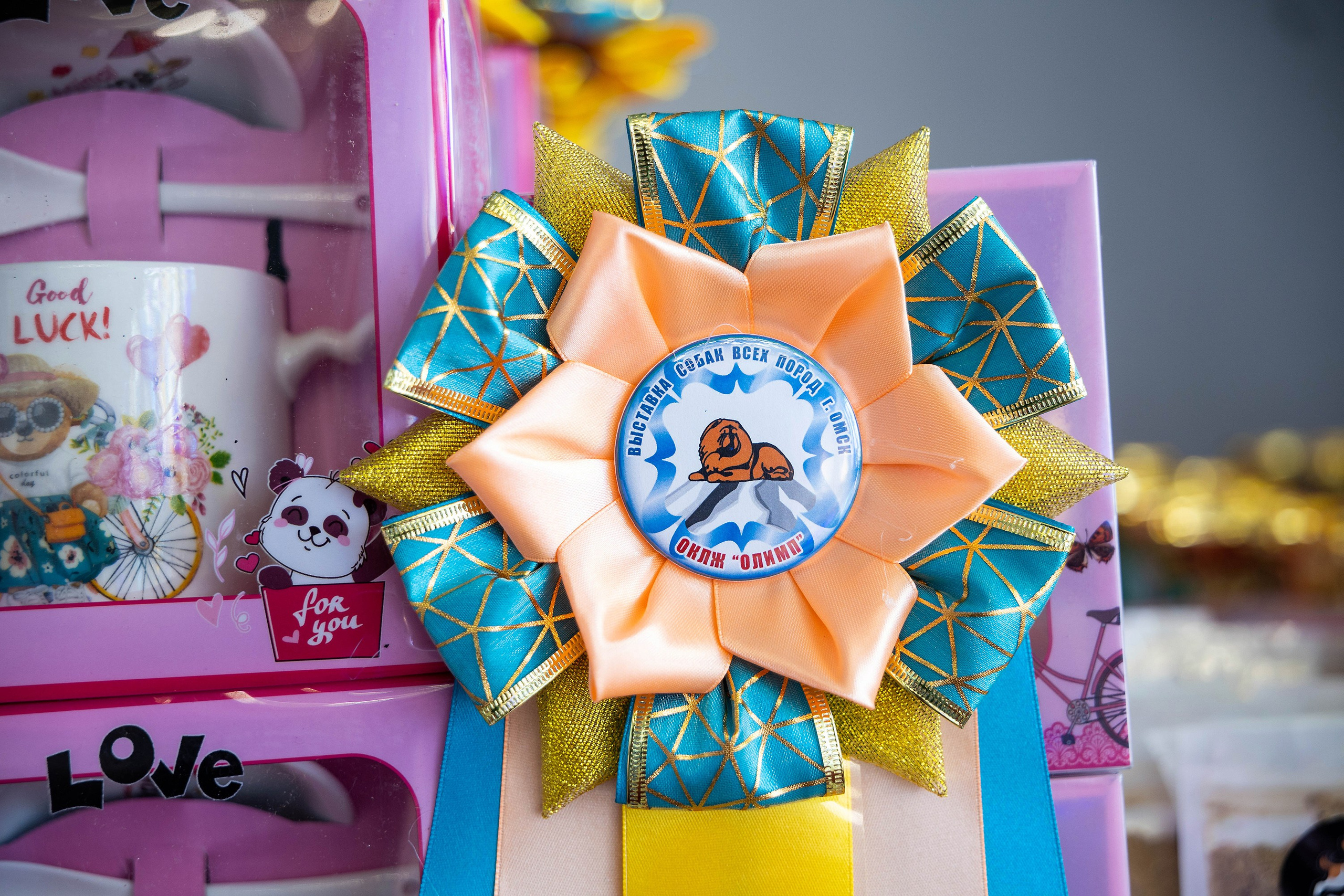 Анонсы выставок. Фотограф-анималист в Омске Екатерина Маричева