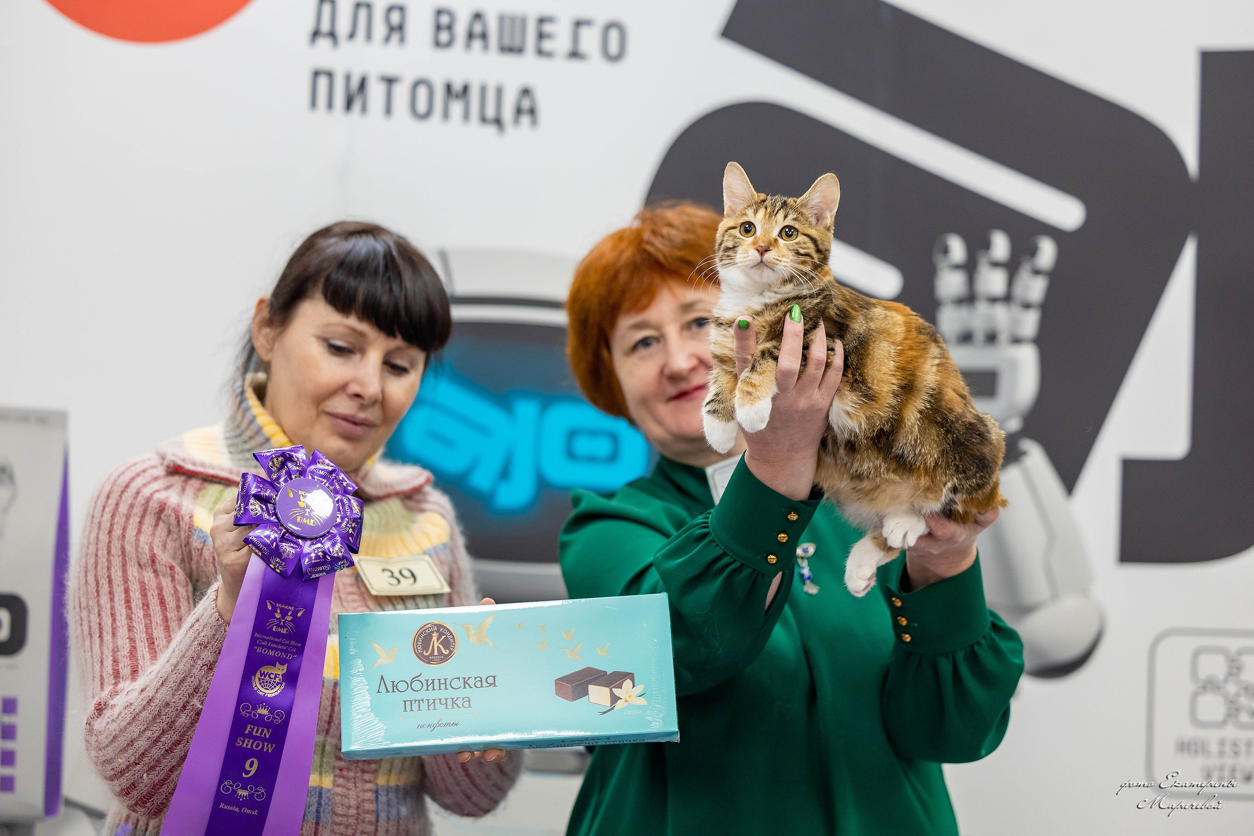 7–8 февраля КЛК «Бомонд». Место проведения: г. Омск ТЦ «Каскад». Фотограф-анималист в Омске Екатерина Маричева