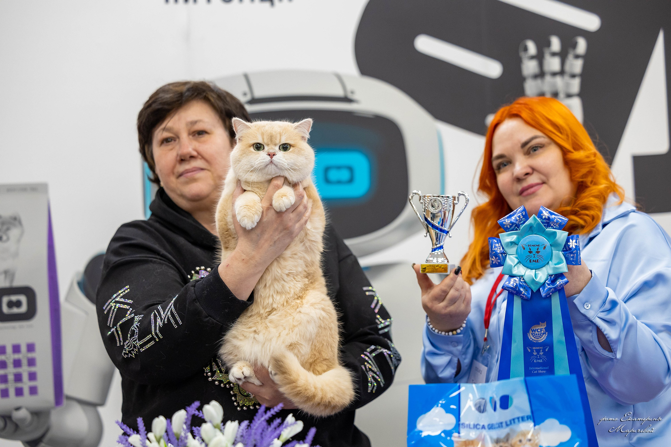 7–8 февраля КЛК «Бомонд». Место проведения: г. Омск ТЦ «Каскад». Фотограф-анималист в Омске Екатерина Маричева