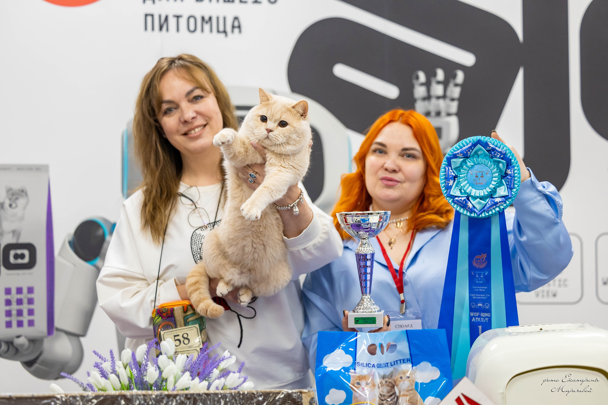 7–8 февраля КЛК «Бомонд». Место проведения: г. Омск ТЦ «Каскад». Фотограф-анималист в Омске Екатерина Маричева