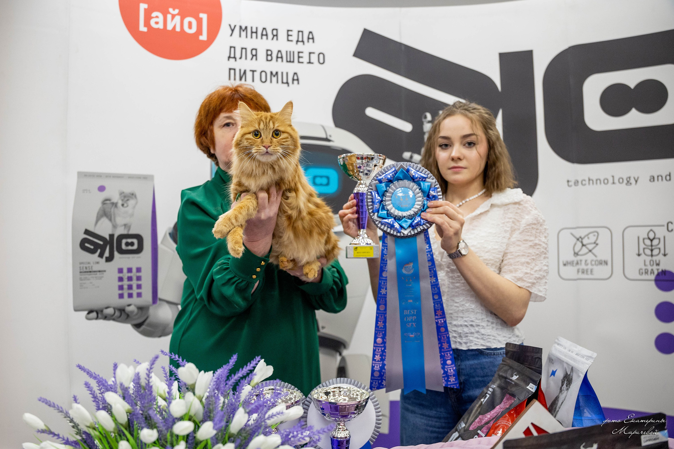 7–8 февраля КЛК «Бомонд». Место проведения: г. Омск ТЦ «Каскад». Фотограф-анималист в Омске Екатерина Маричева