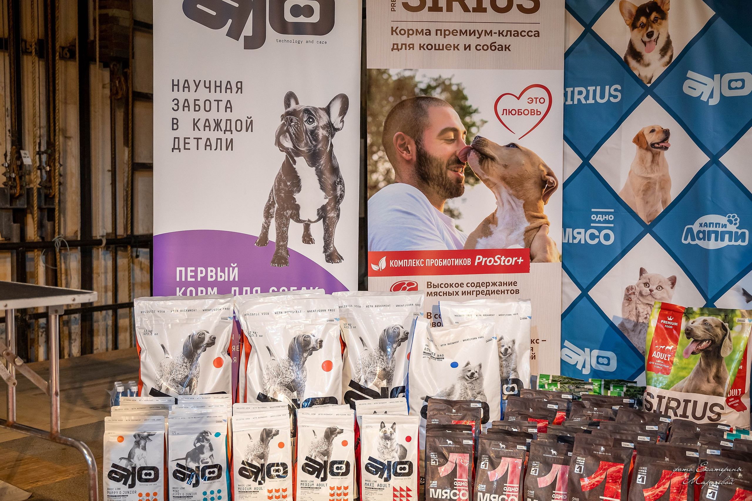 22.03.2026 Национальная выставка собак клуб «Олимп». Фотограф-анималист в Омске Екатерина Маричева