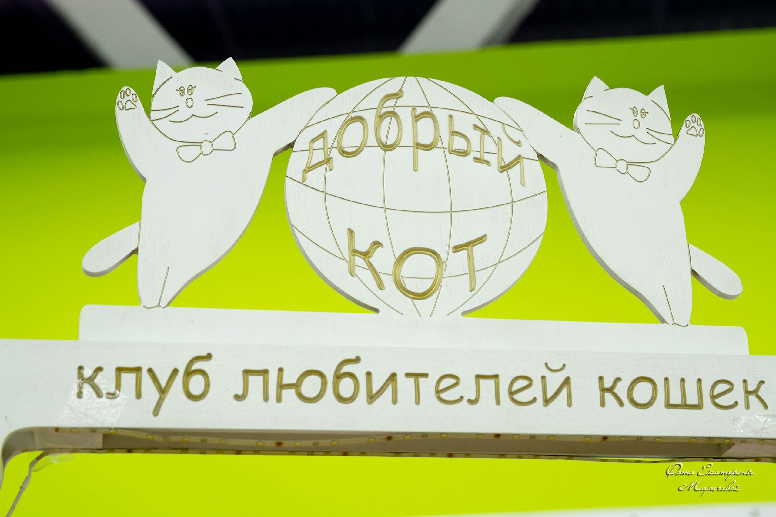 Выставка кошек «Короли и королевы» клуб Баст работаю со стендом. Фотограф-анималист в Омске Екатерина Маричева