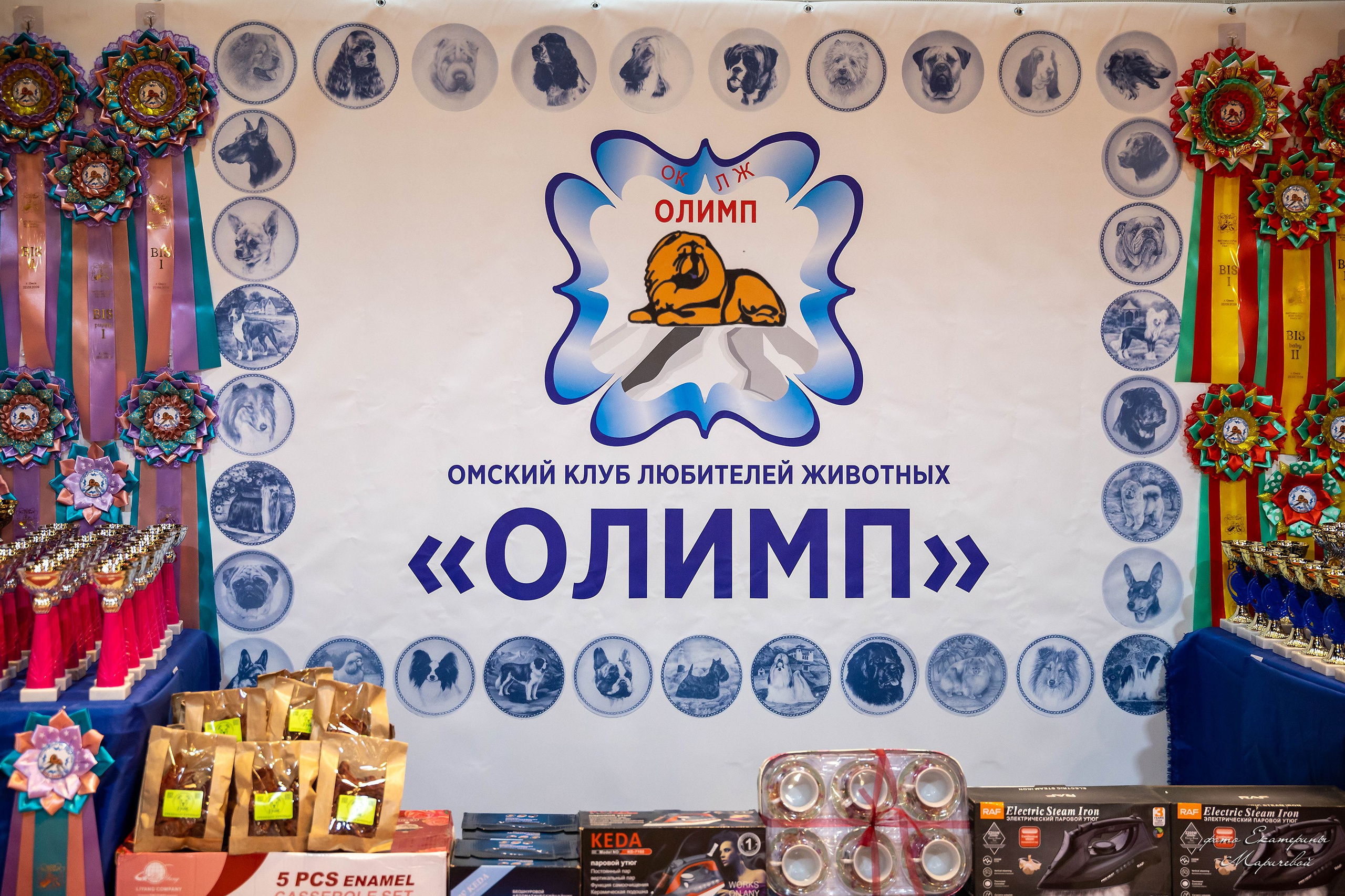 22.03.2026 Национальная выставка собак клуб «Олимп». Фотограф-анималист в Омске Екатерина Маричева