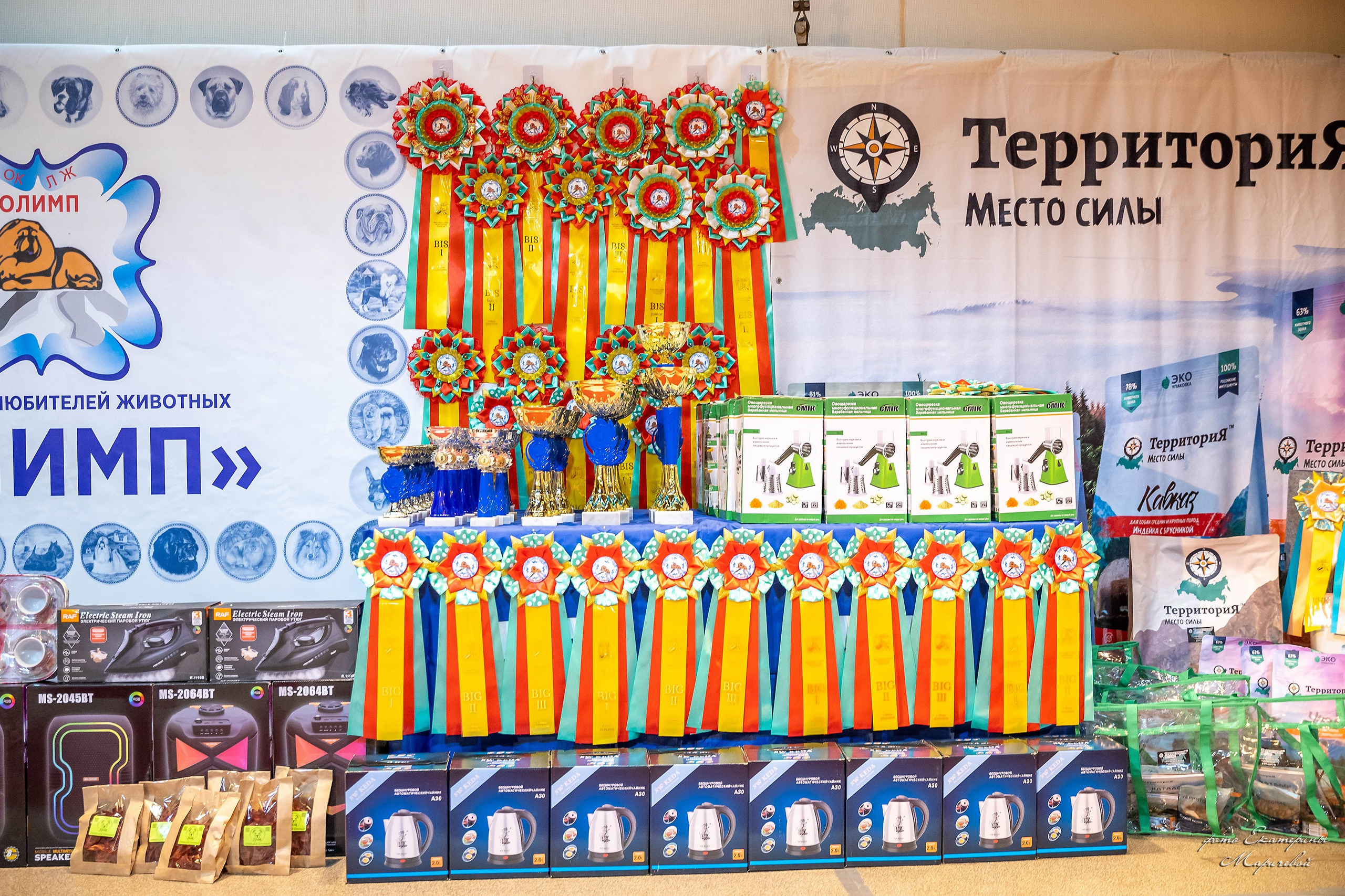 22.03.2026 Национальная выставка собак клуб «Олимп». Фотограф-анималист в Омске Екатерина Маричева