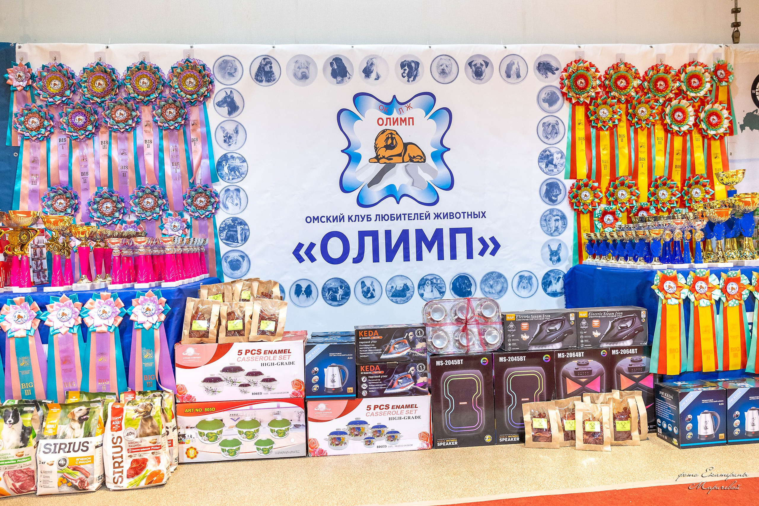 22.03.2026 Национальная выставка собак клуб «Олимп». Фотограф-анималист в Омске Екатерина Маричева