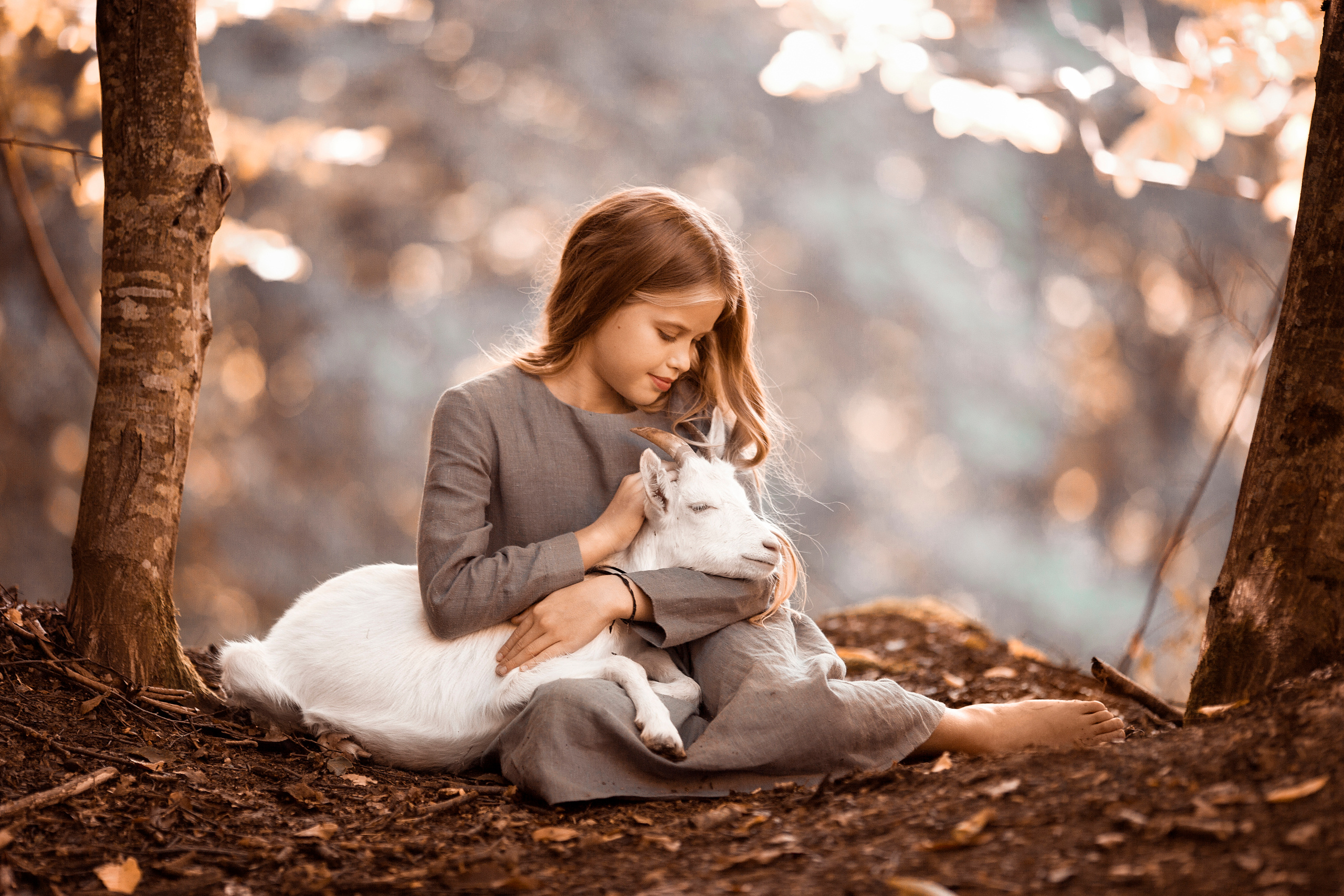 На чайной плантации