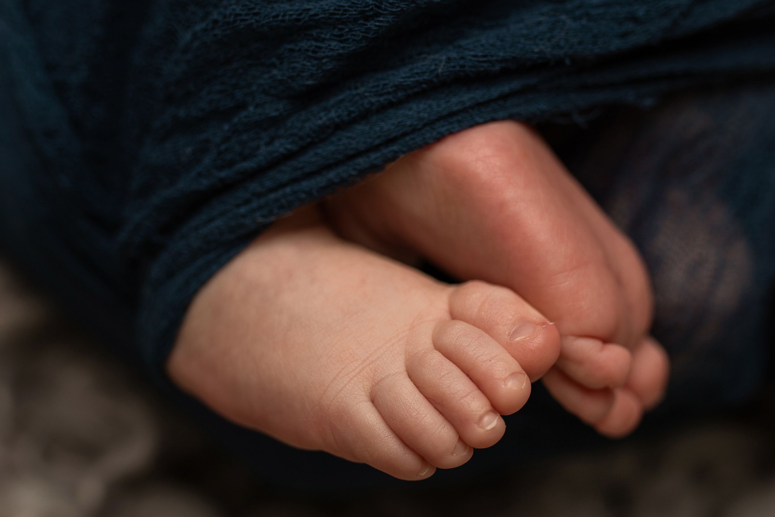 Давид, 20 дней