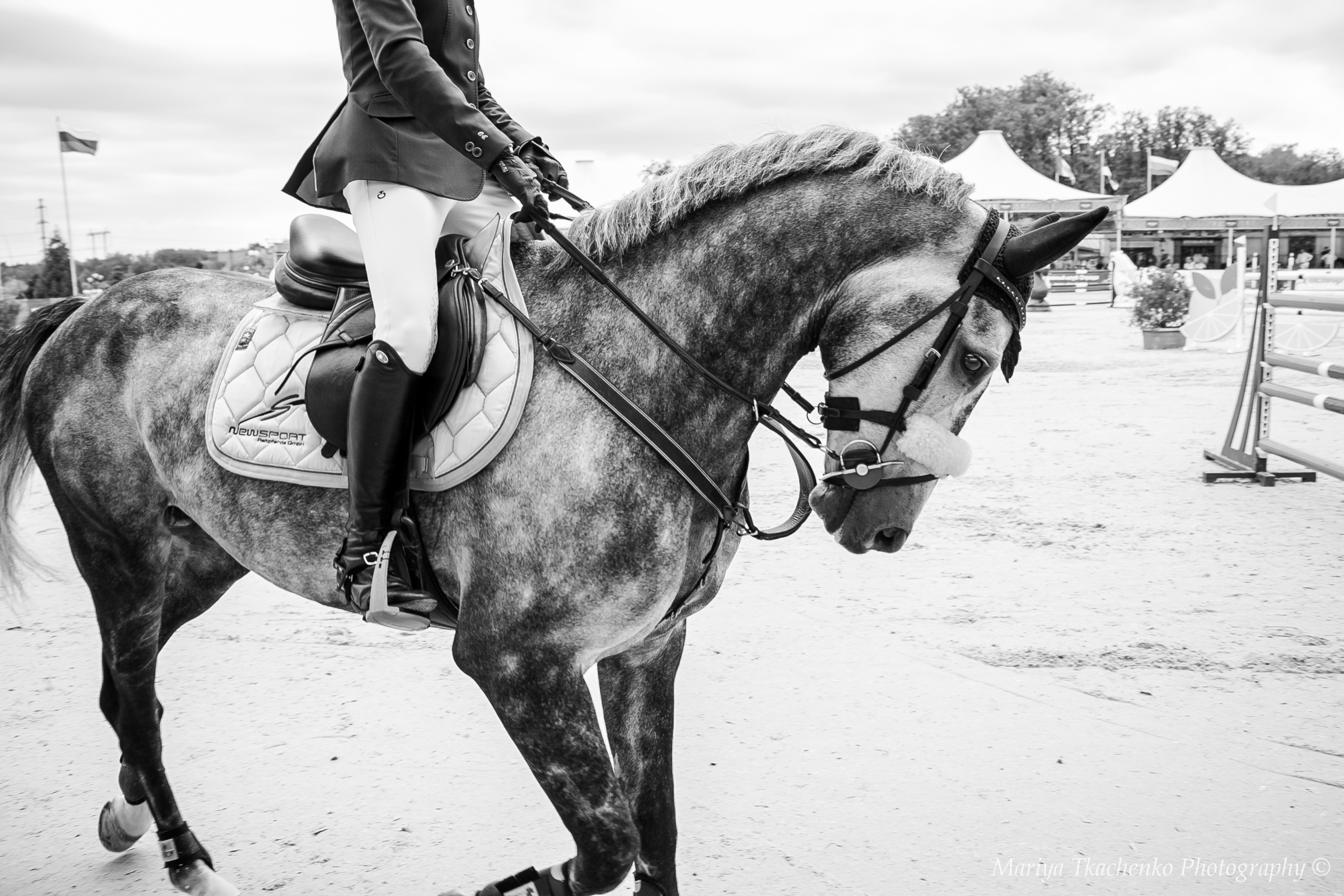 Конкур КСК Отрада