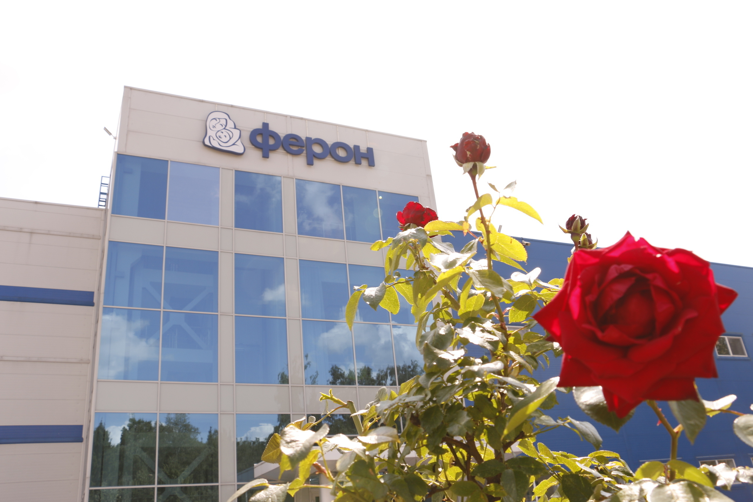 учения ФЕРОН