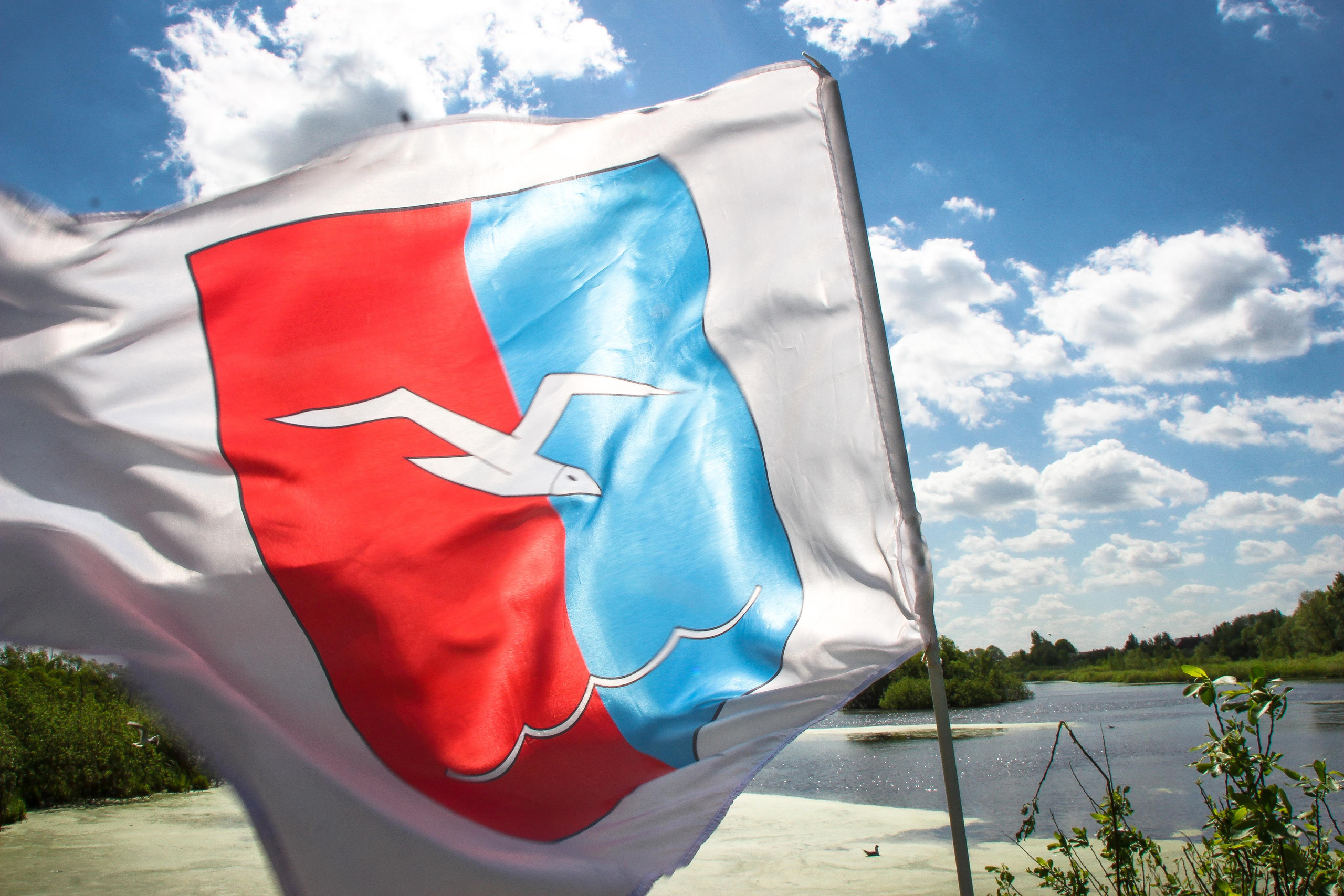 сохранение популяции черноголовых чаек озера Киово г. Лобня. 2021 г.