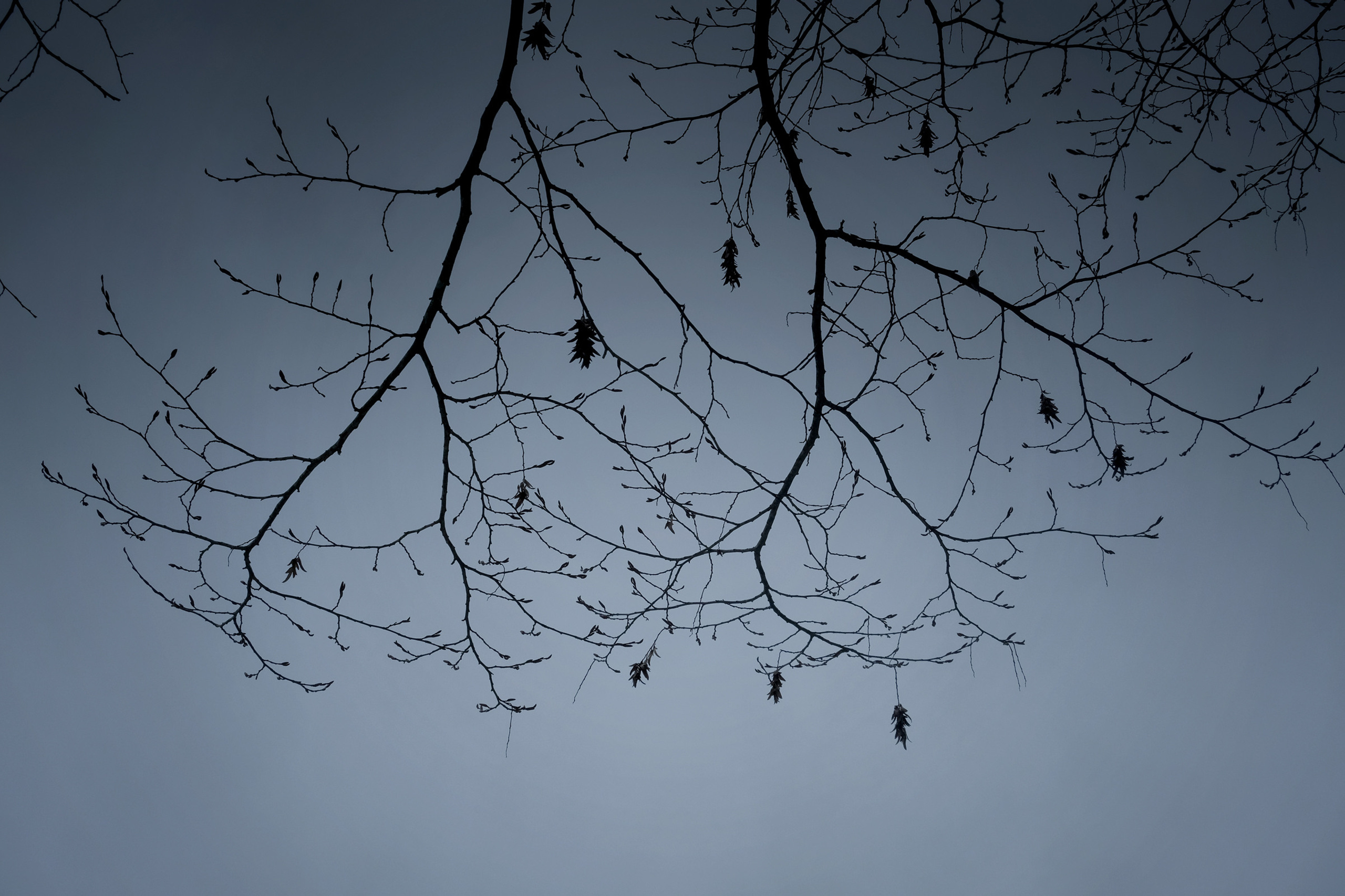 Дыхание зимы