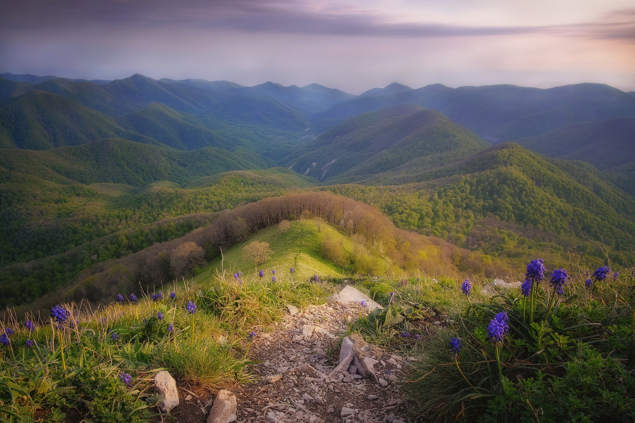 Альпийские луга